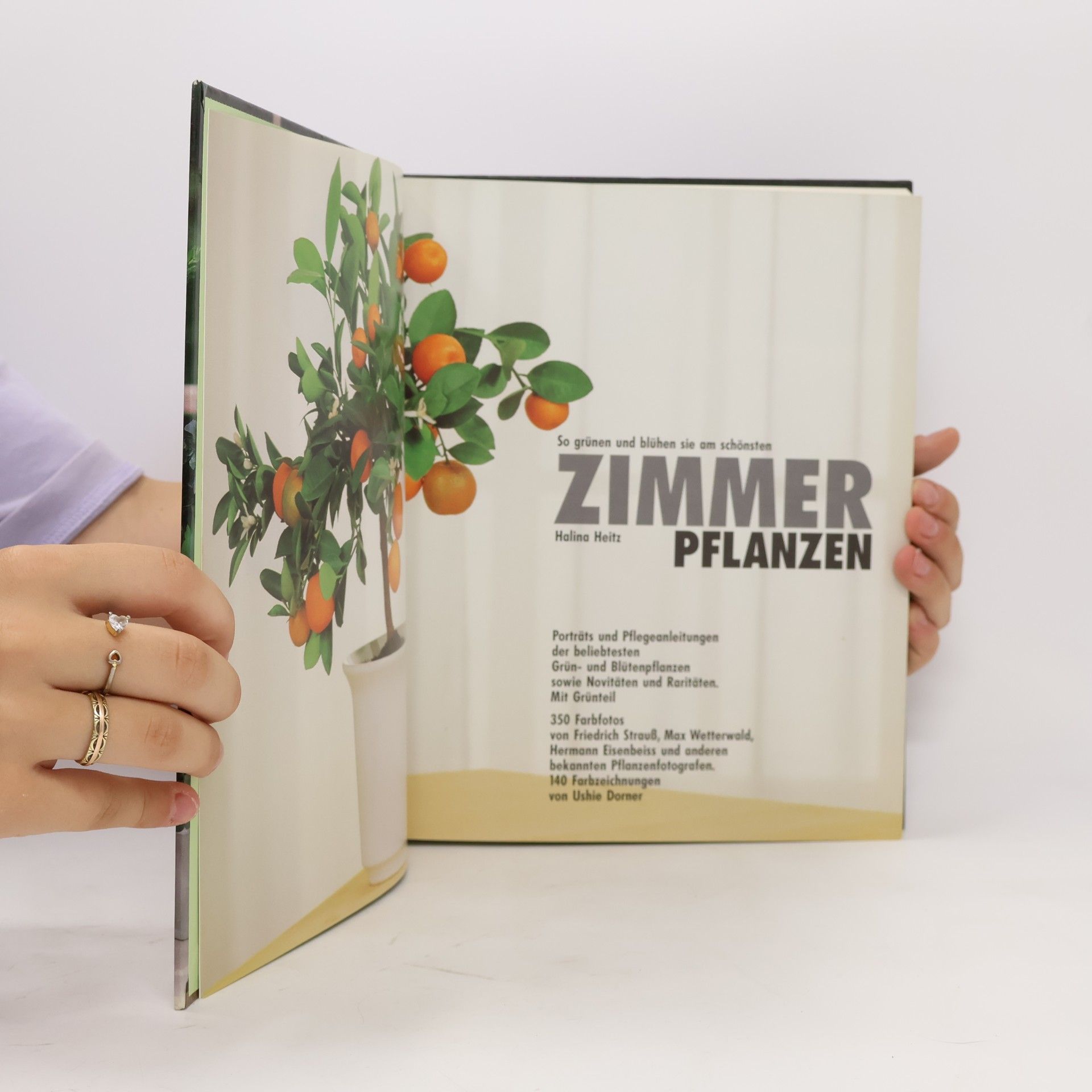 Halina Heitz Zimmerpflanzen