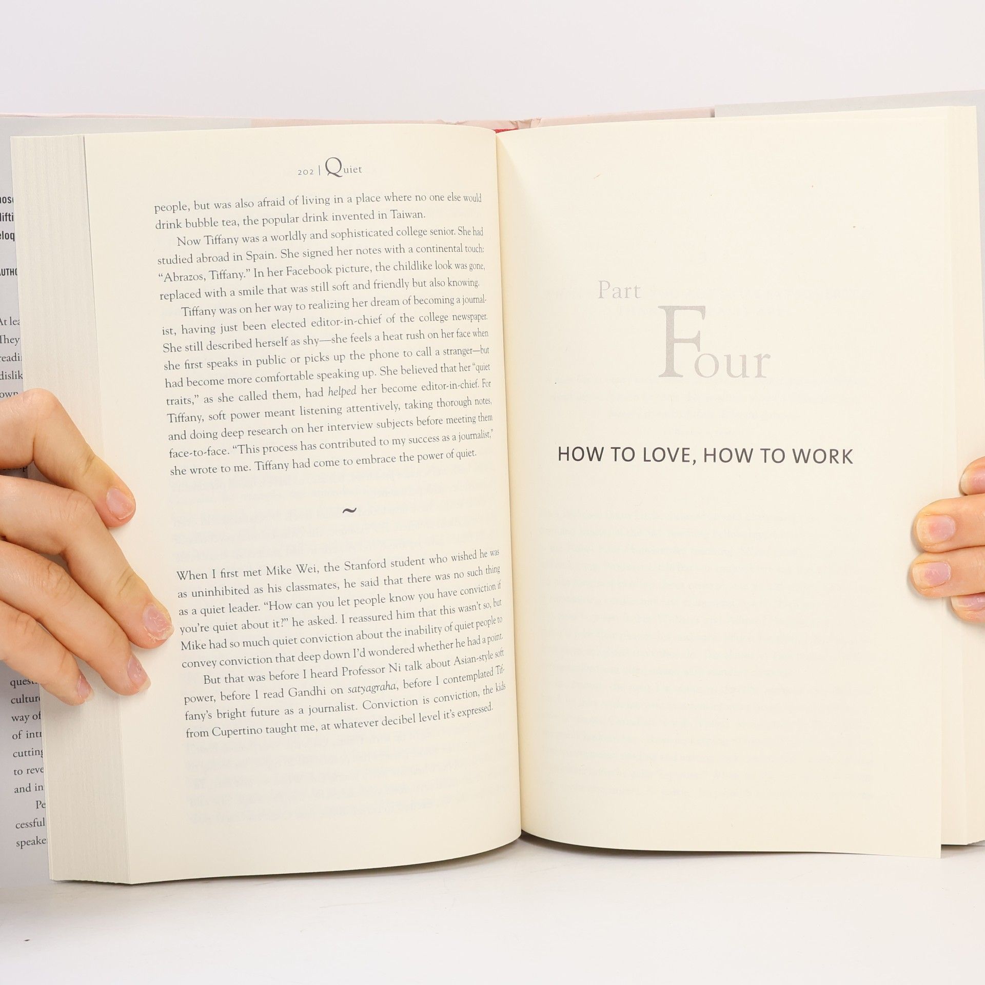 Susan Cain Quiet. The Power of Introverts in a World That Can't Stop Talking