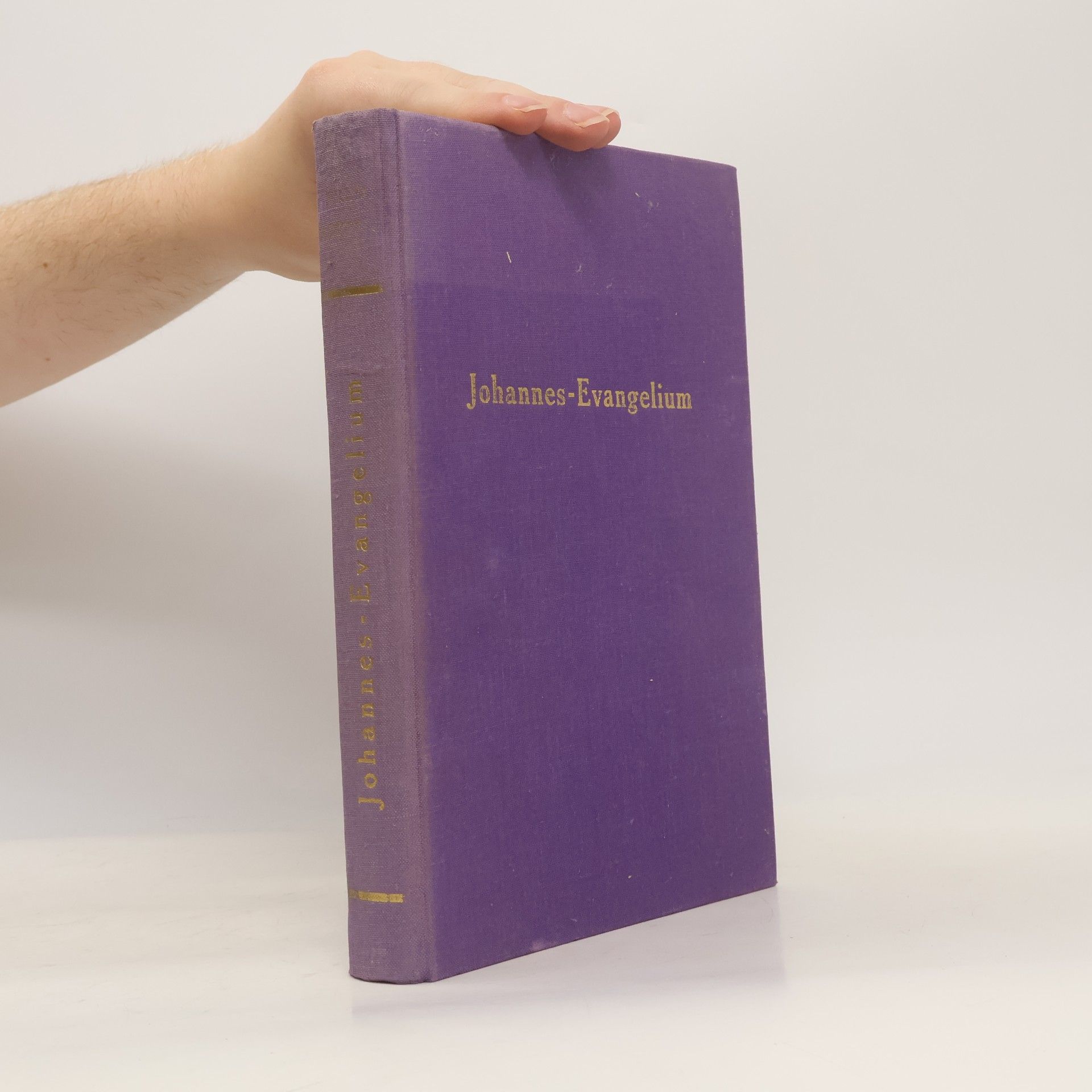 Das Johannes-Evangelium