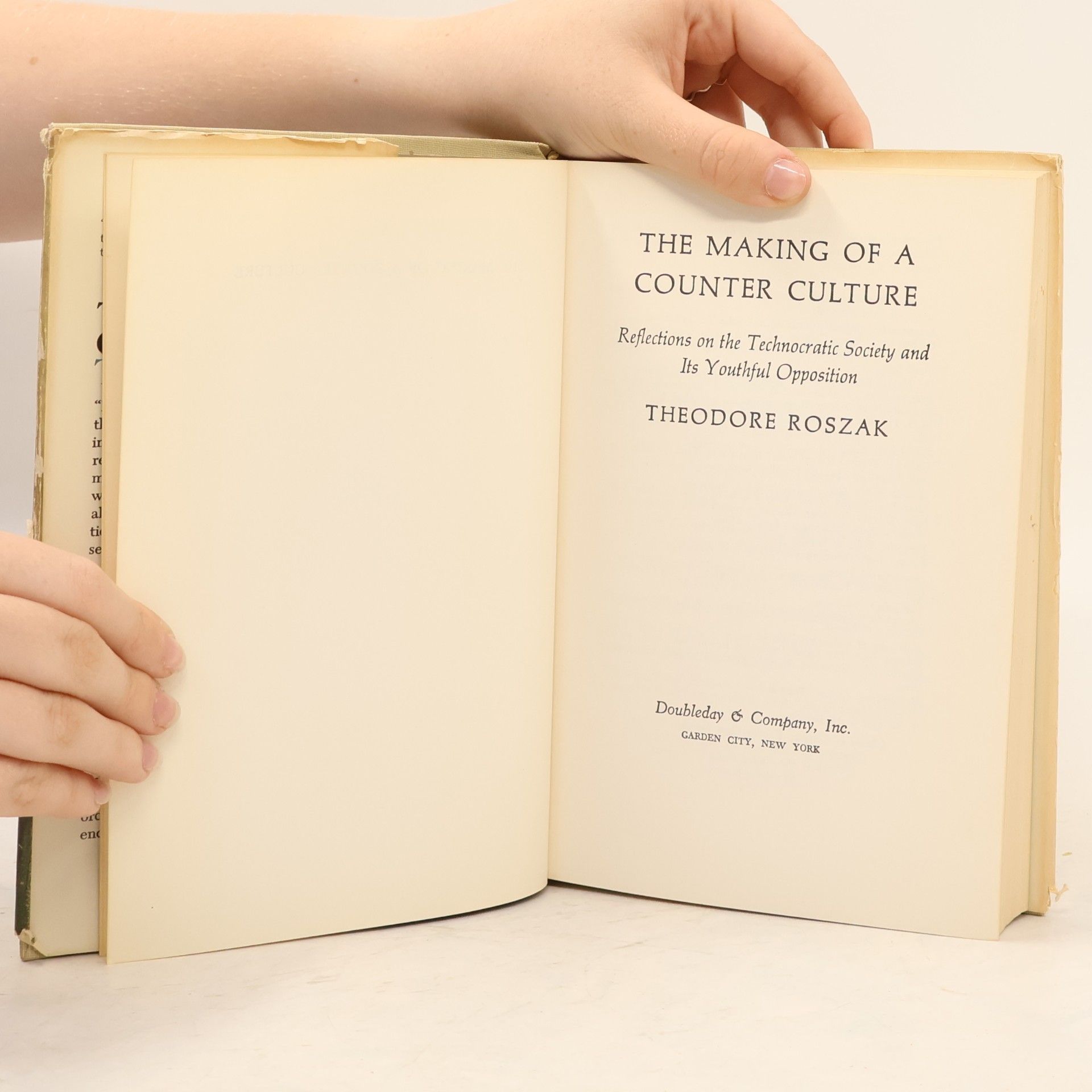 Theodore Roszak The Making of a Counter Culture
