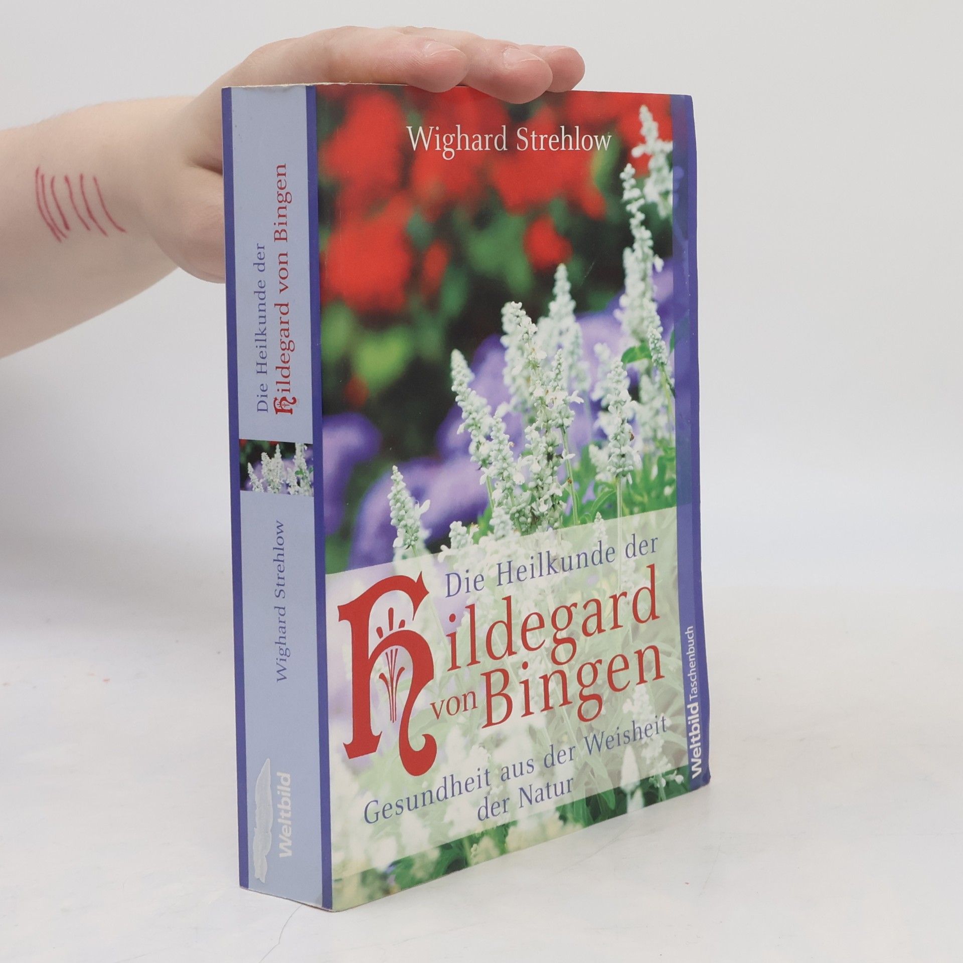 Wighard Strehlow Die Heilkunde der Hildegard von Bingen