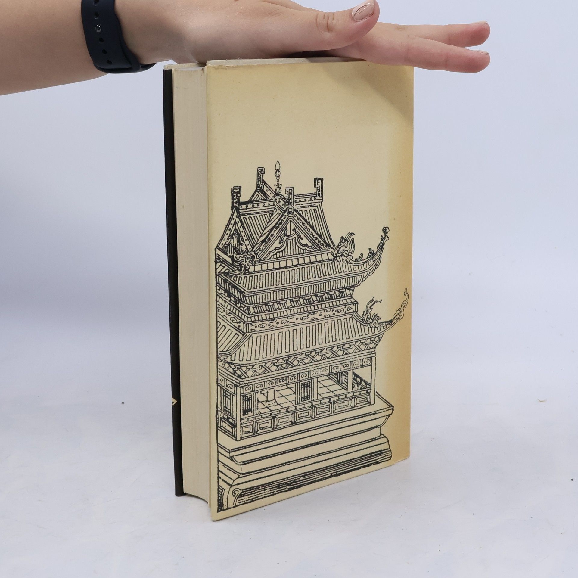 Kolektiv autorů Die goldene Truhe: Chinesische Novellen aus zwei Jahrtausenden