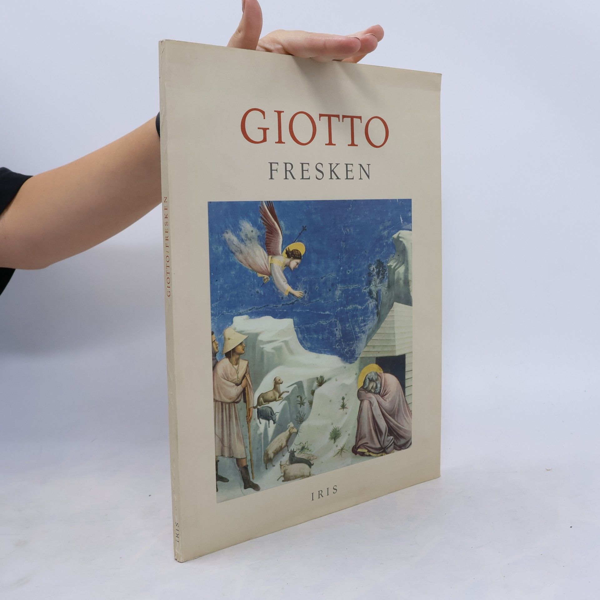 Collectif d'auteurs Giotto Fresken