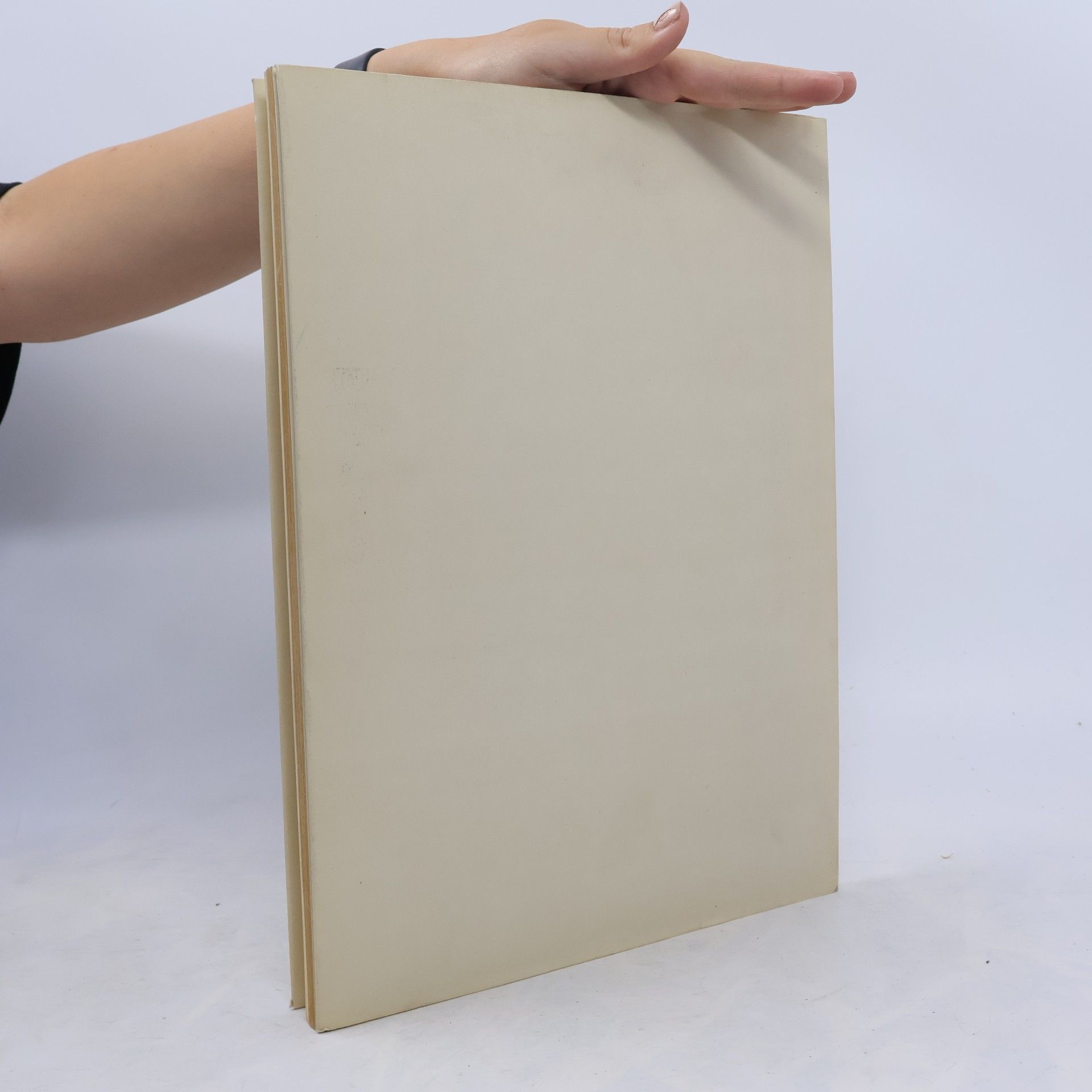 Collectif d'auteurs Giotto Fresken