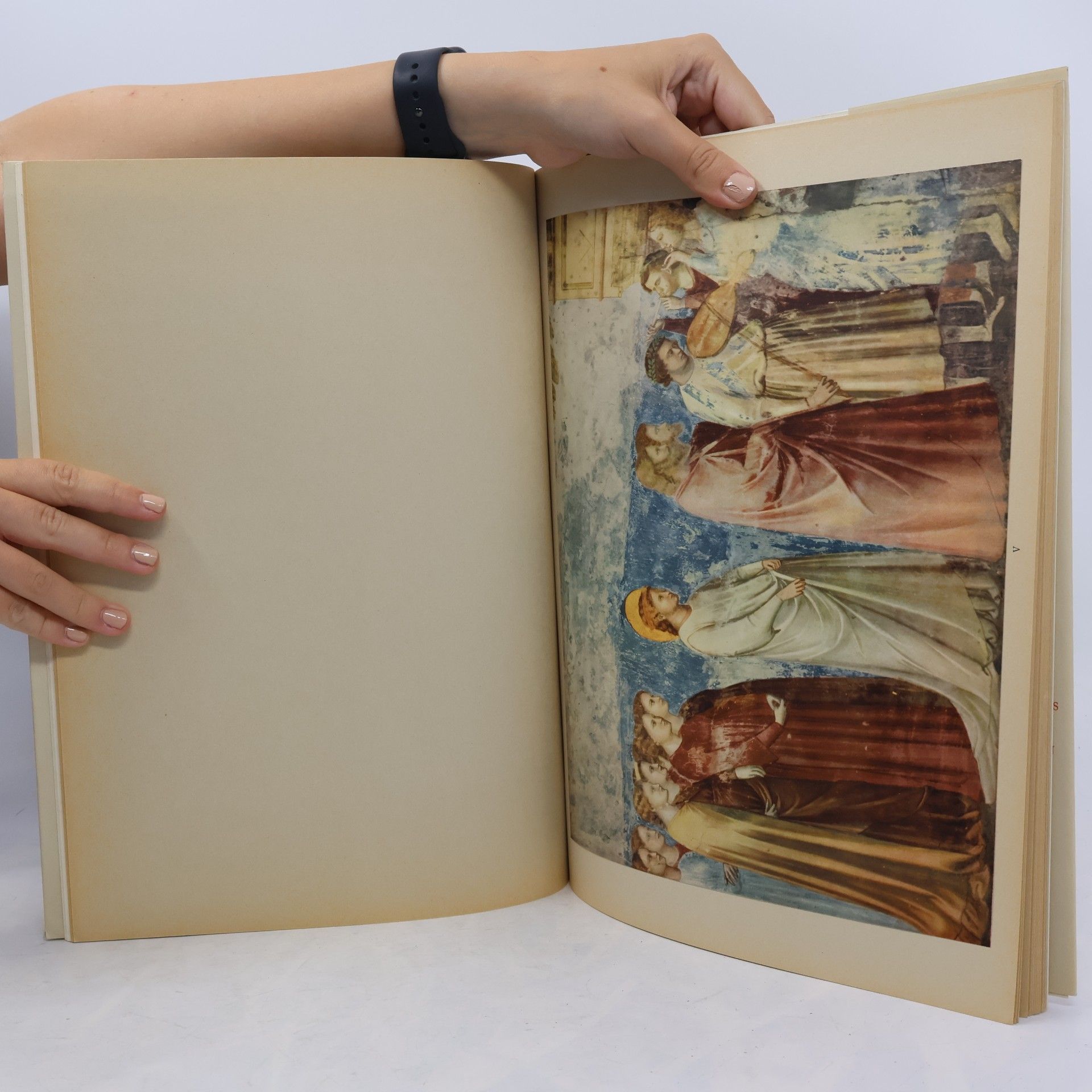 Collectif d'auteurs Giotto Fresken