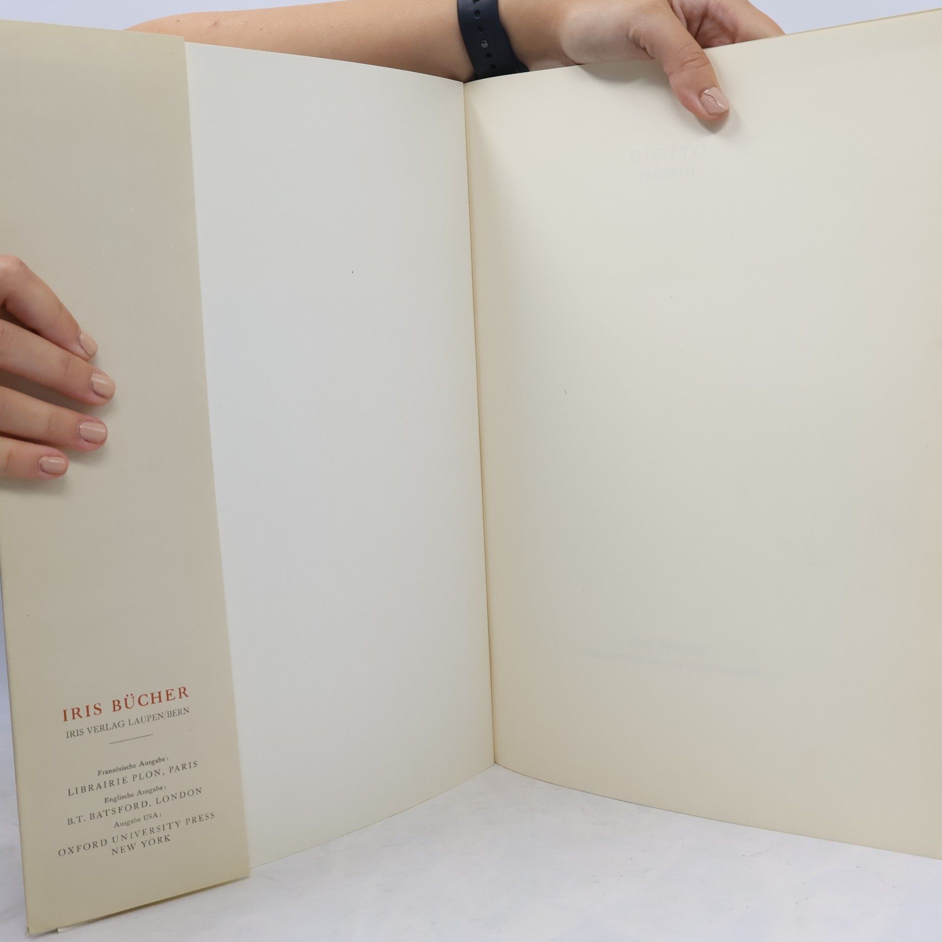 Collectif d'auteurs Giotto Fresken
