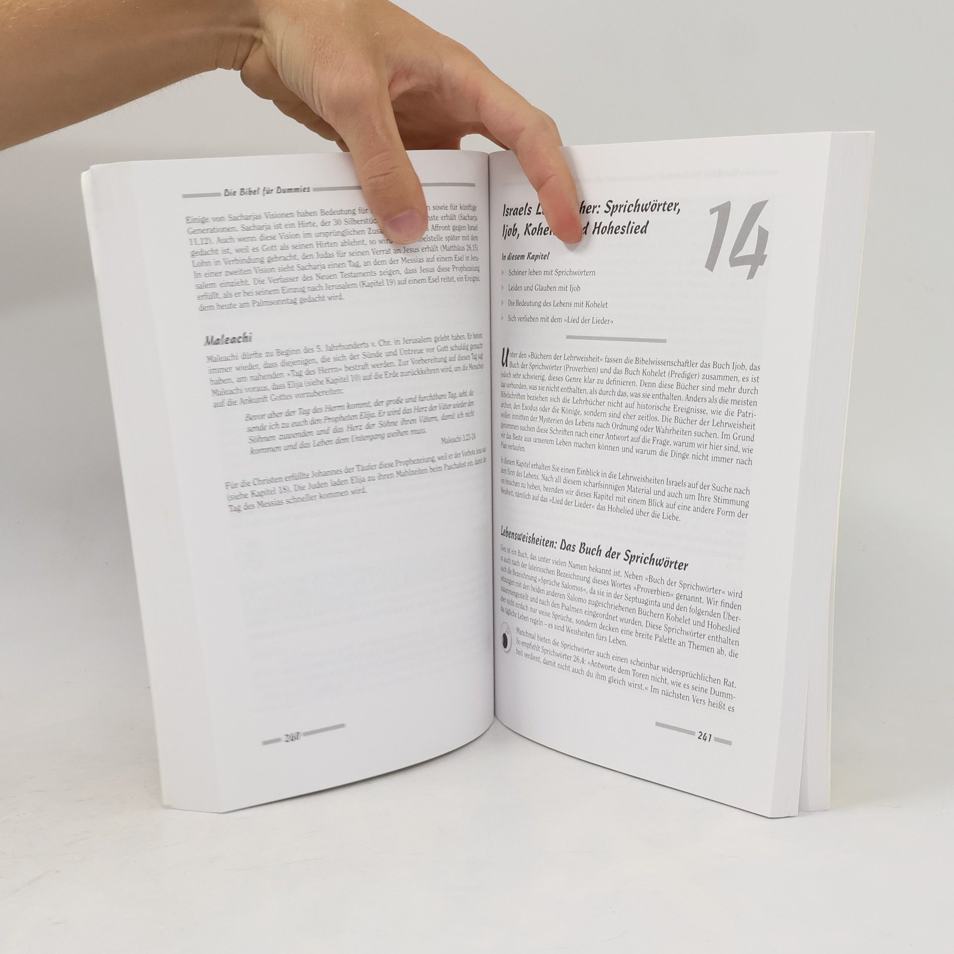Jeffrey Geoghegan Die Bibel für Dummies