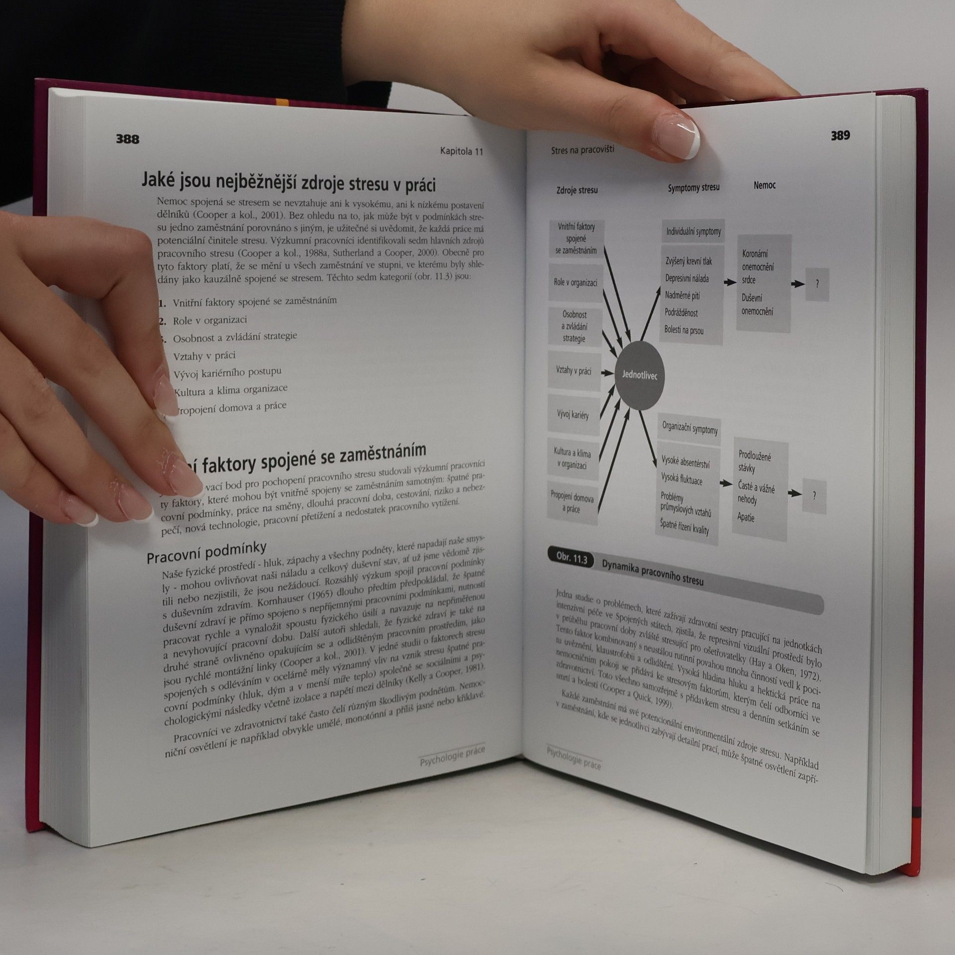 Autorenkollektiv Psychologie práce