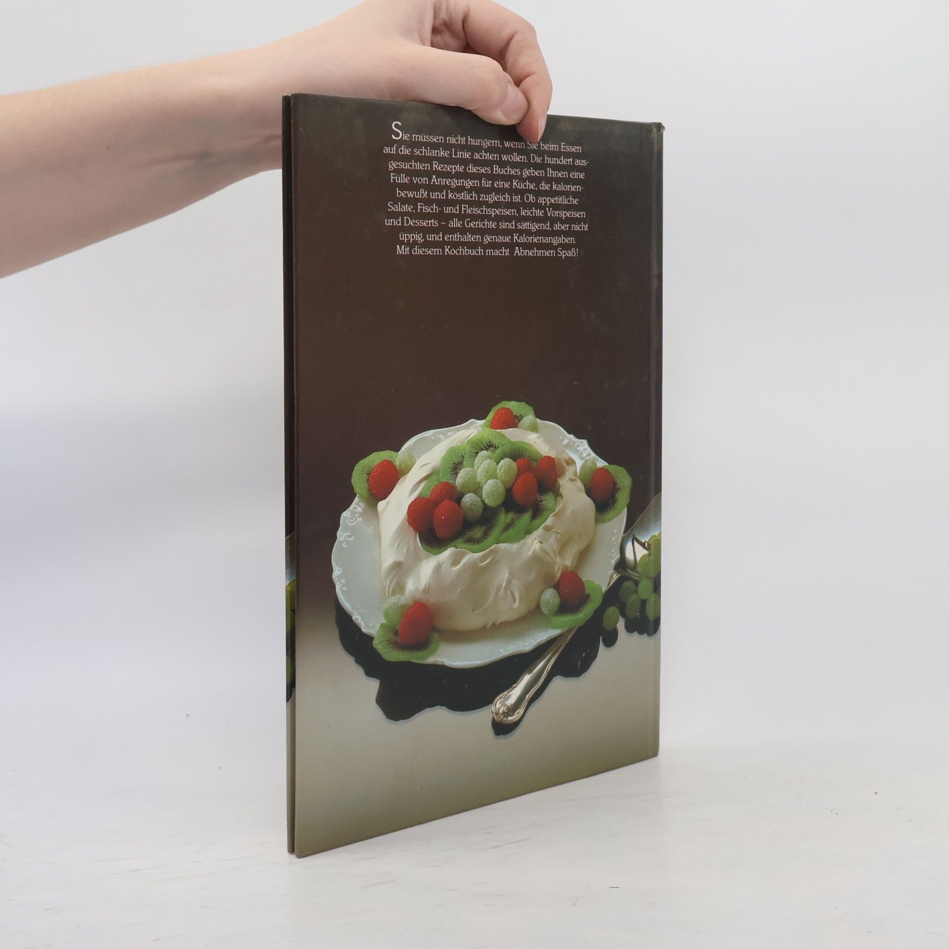 Diane Leah 100 Rezepte Küche für die schlanke Linie