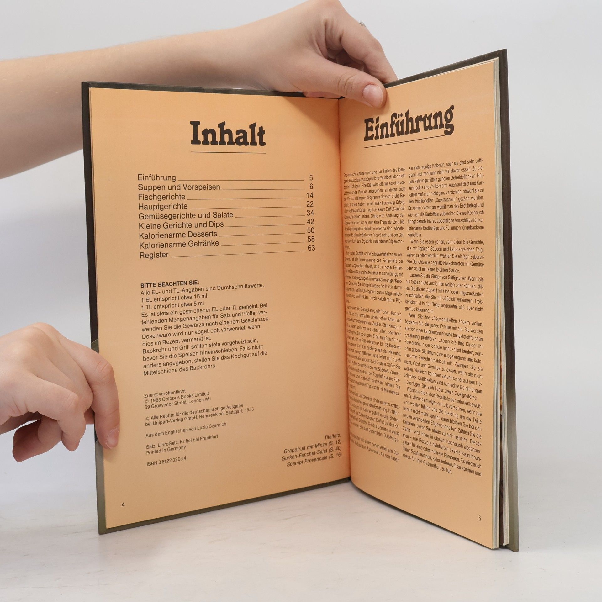 Diane Leah 100 Rezepte Küche für die schlanke Linie