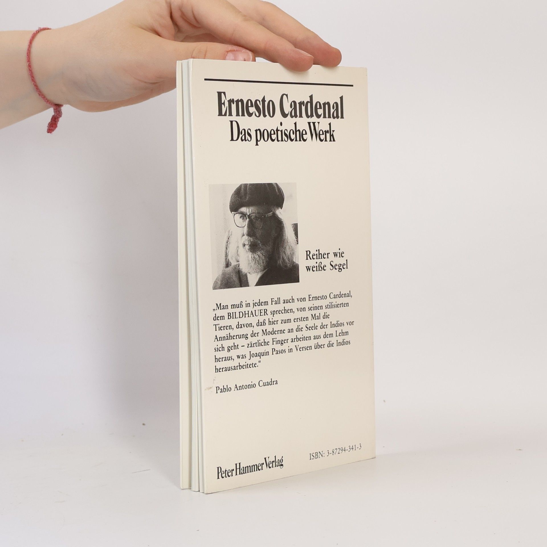 Ernesto Cardenal Reiher wie weiße Segel