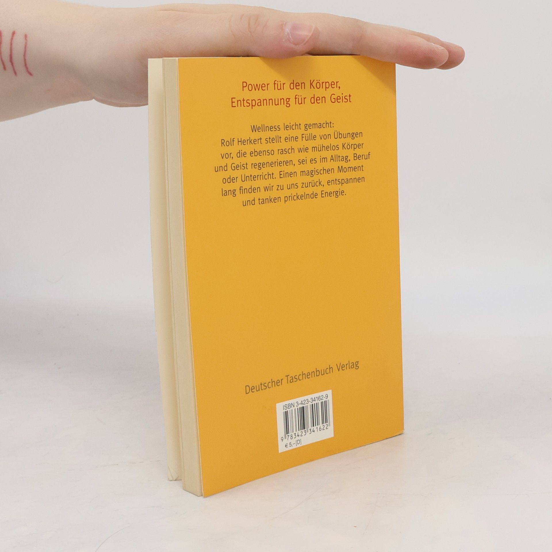 Rolf Herkert Das kleine Wellness-Buch