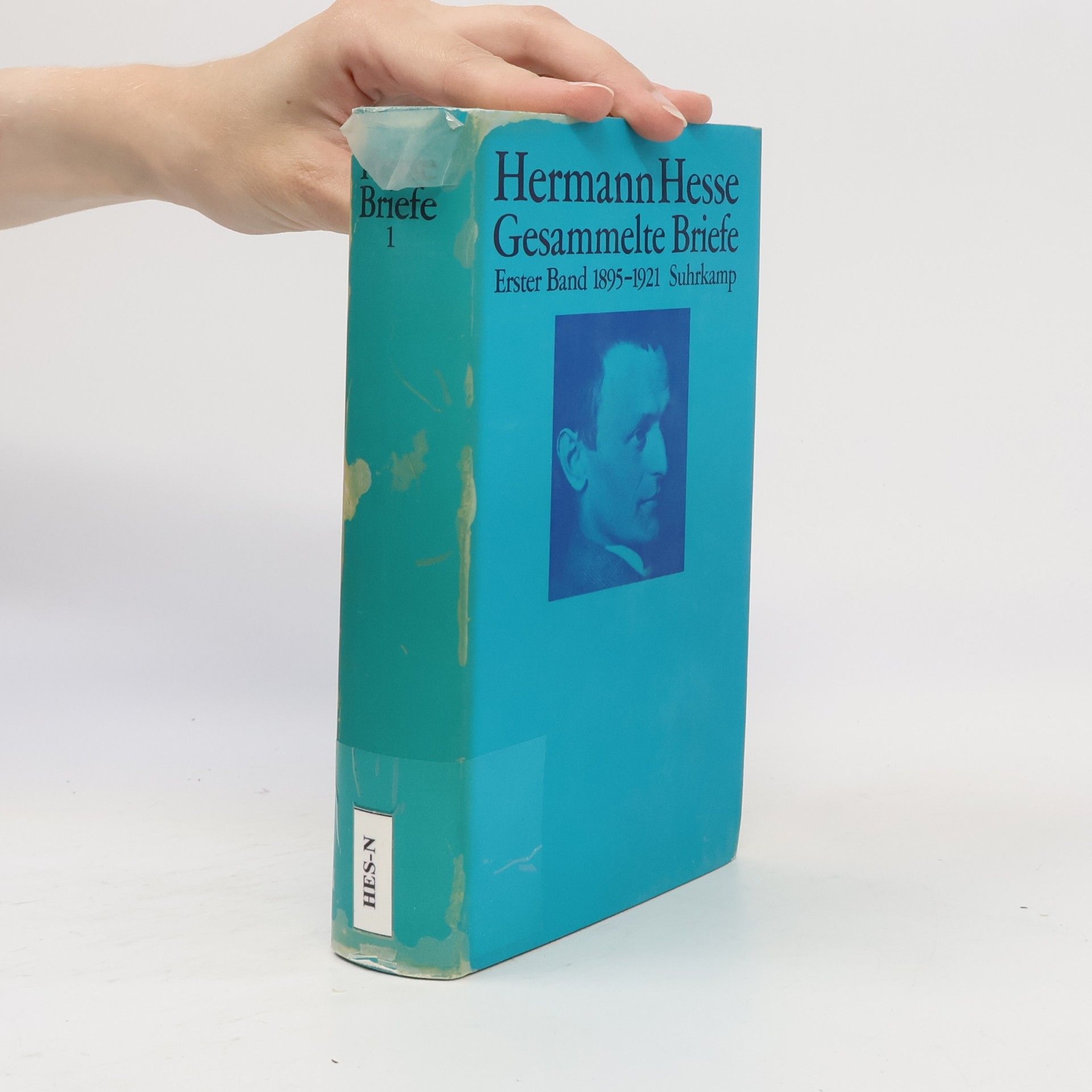 Hermann Hesse Gesammelte Briefe