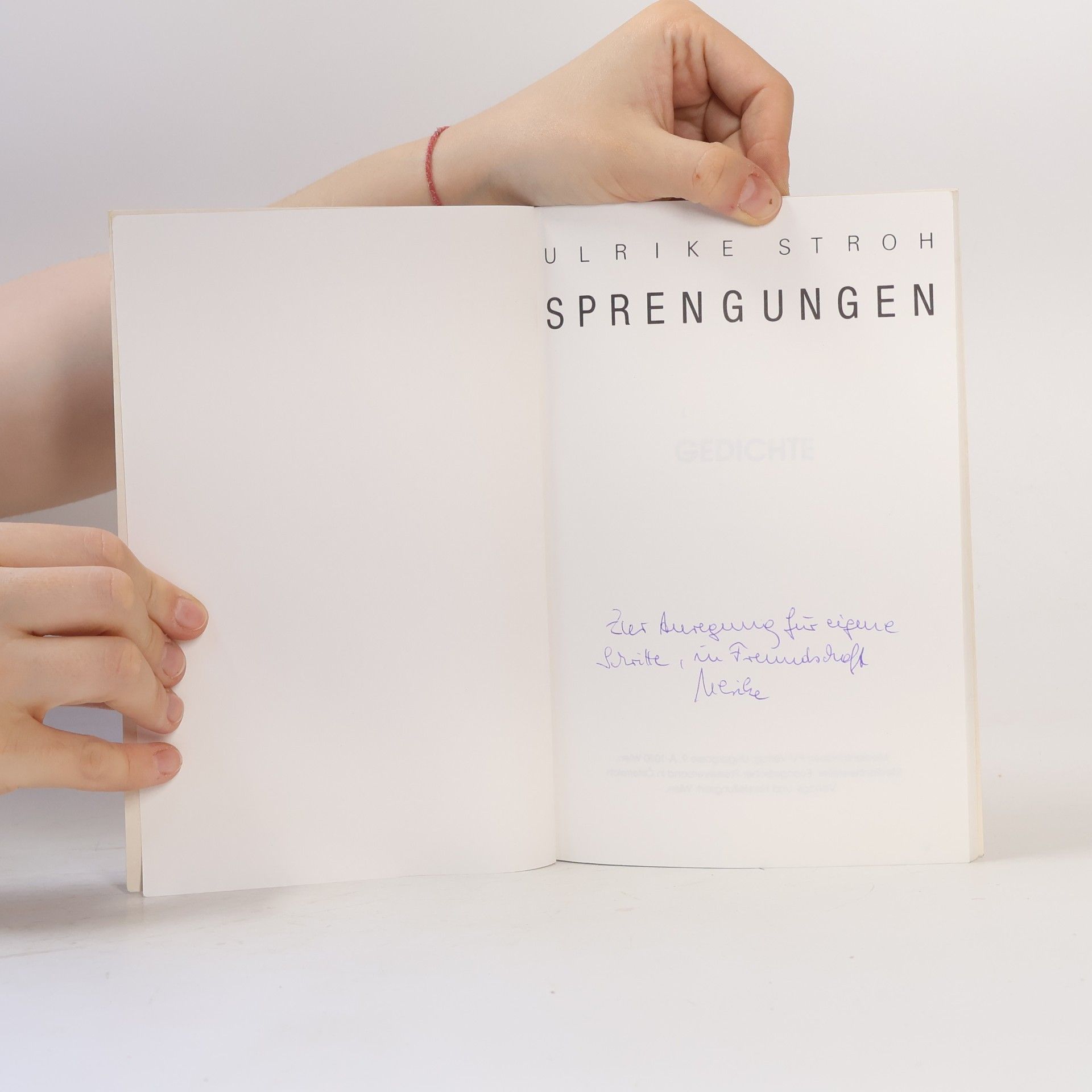 Ulrike Stroh Sprengungen