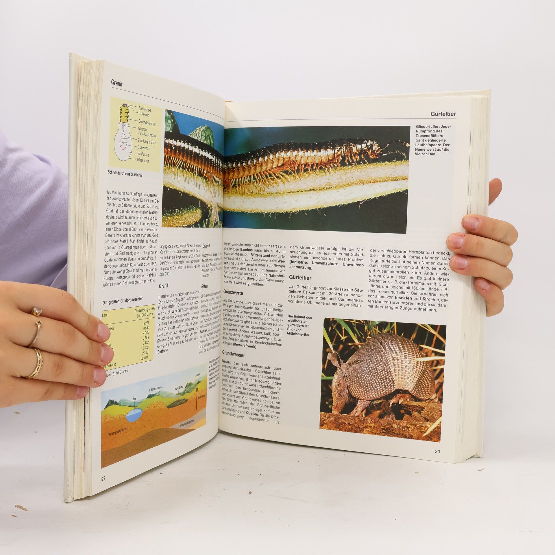 Autorenkollektiv Bassermann-Jugendlexikon Natur und Technik