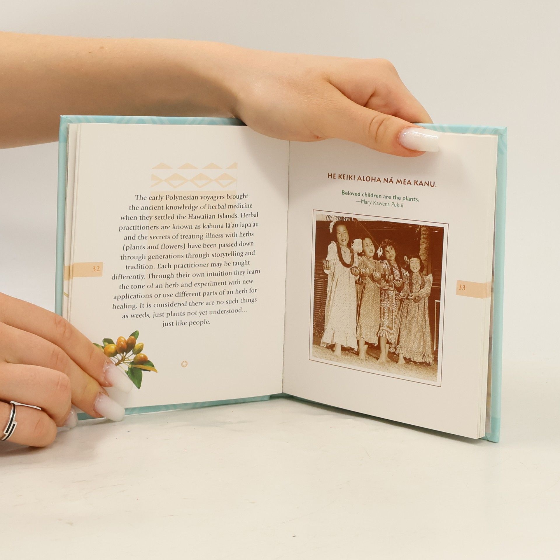 Renata Provenzano A Little Book of Aloha
