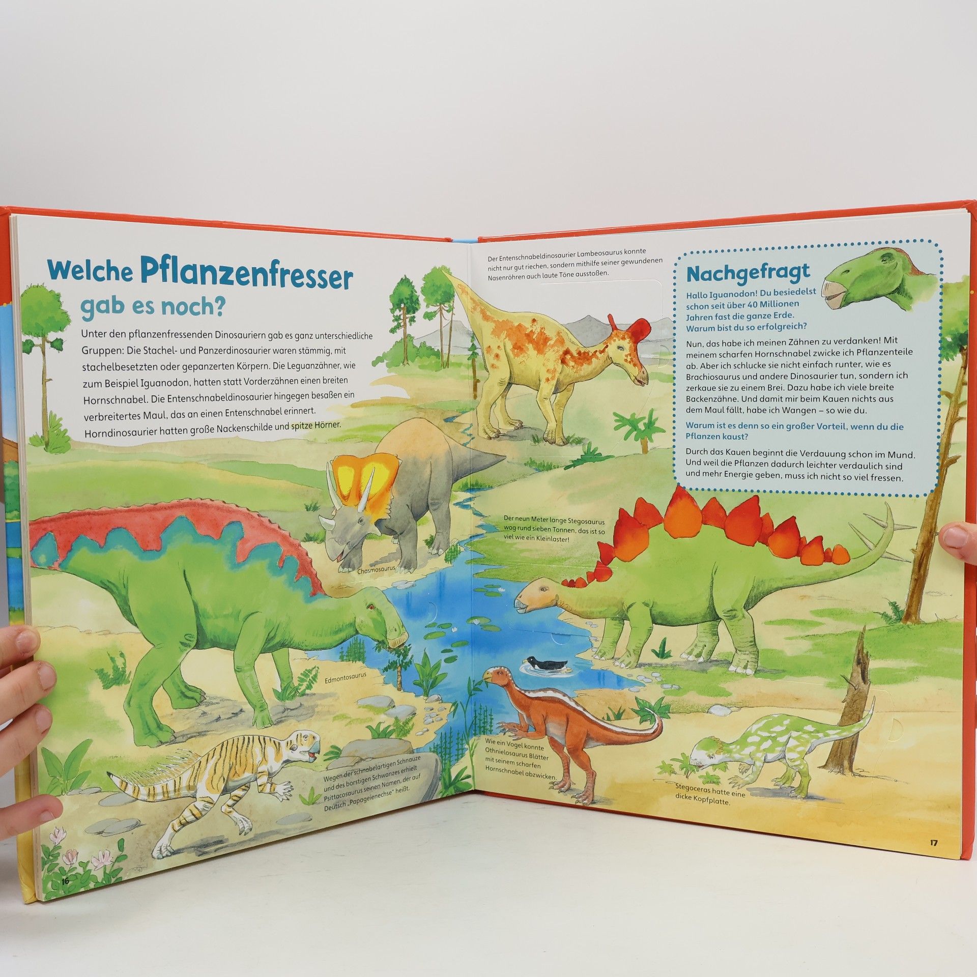 Astrid Vohwinkel Dinosaurier