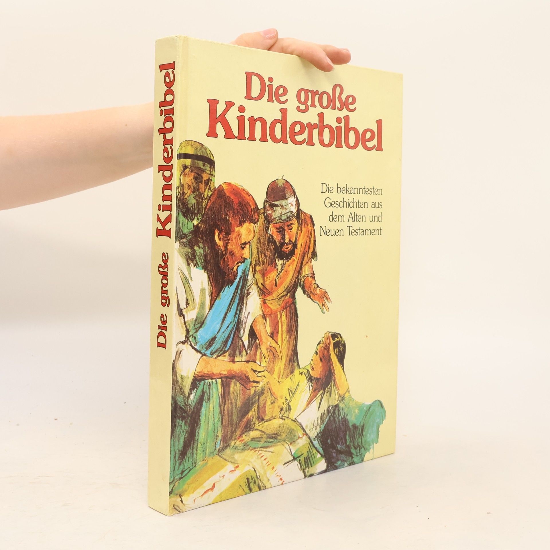 Kolektiv autorů Die große Kinderbibel