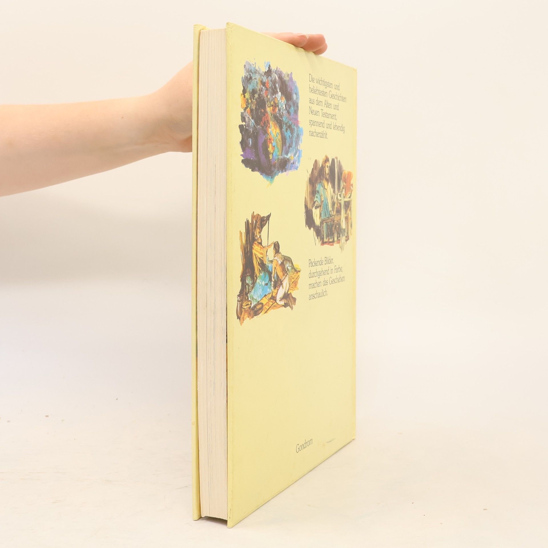 Kolektiv autorů Die große Kinderbibel