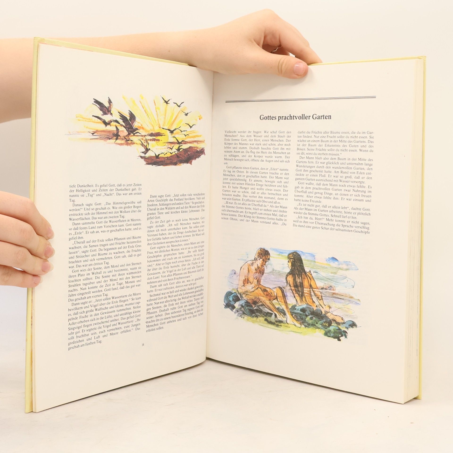 Kolektiv autorů Die große Kinderbibel
