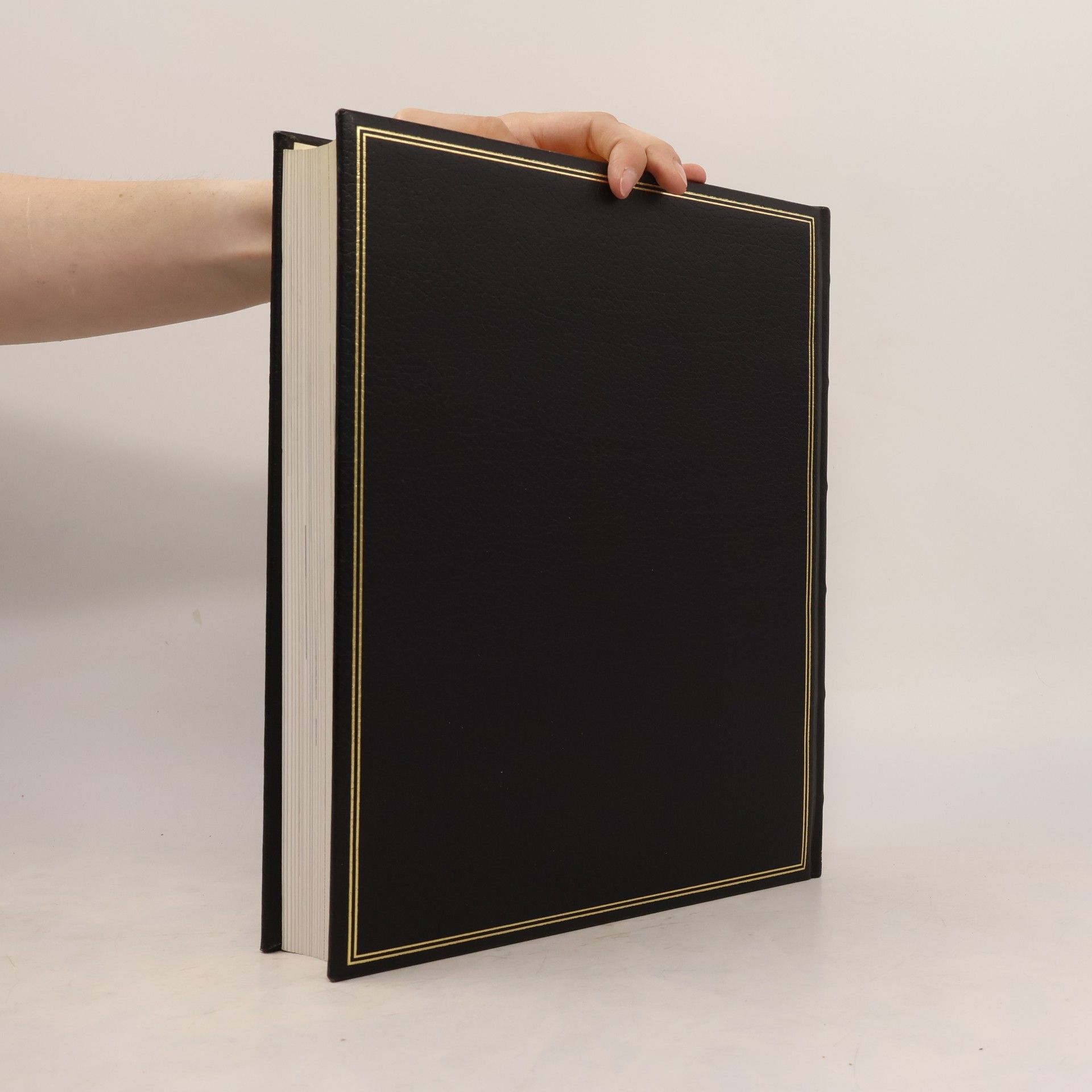 Collectif d'auteurs Brockhaus. Chronik des Jahrhunderts