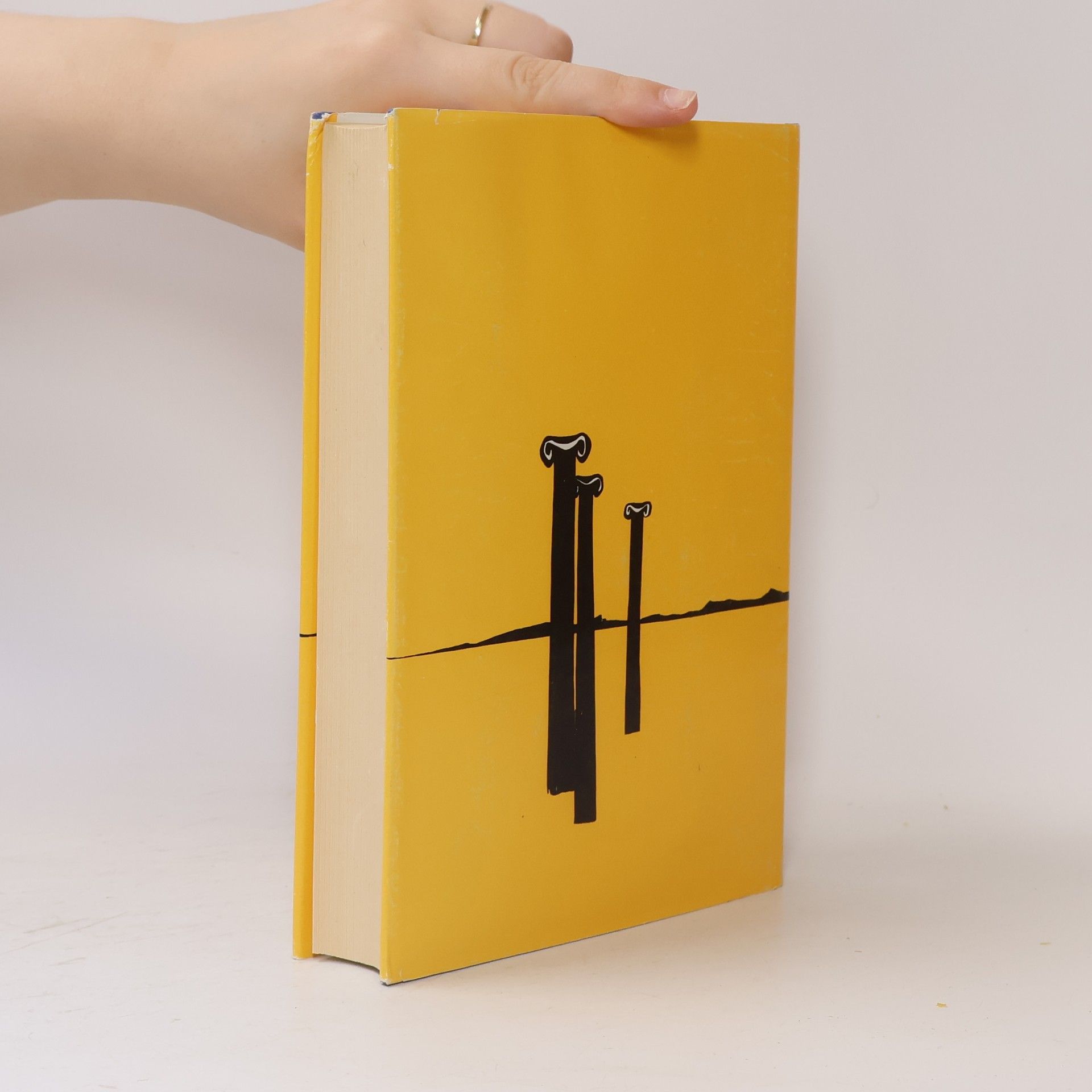 Kerstin Olsen Das Goldene Buch des Goldenen Zeitalters