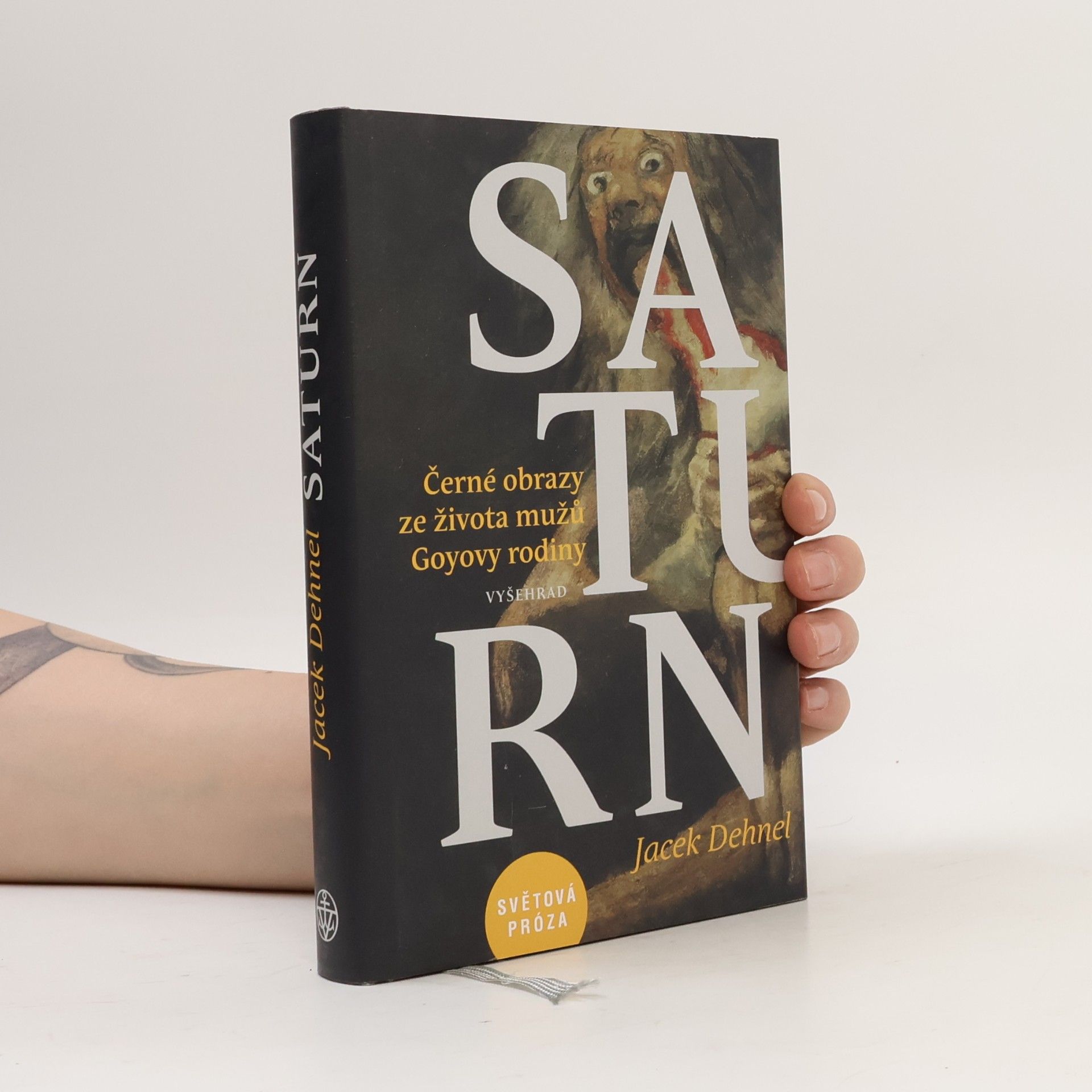 Jacek Dehnel Saturn : černé obrazy ze života mužů Goyovy rodiny