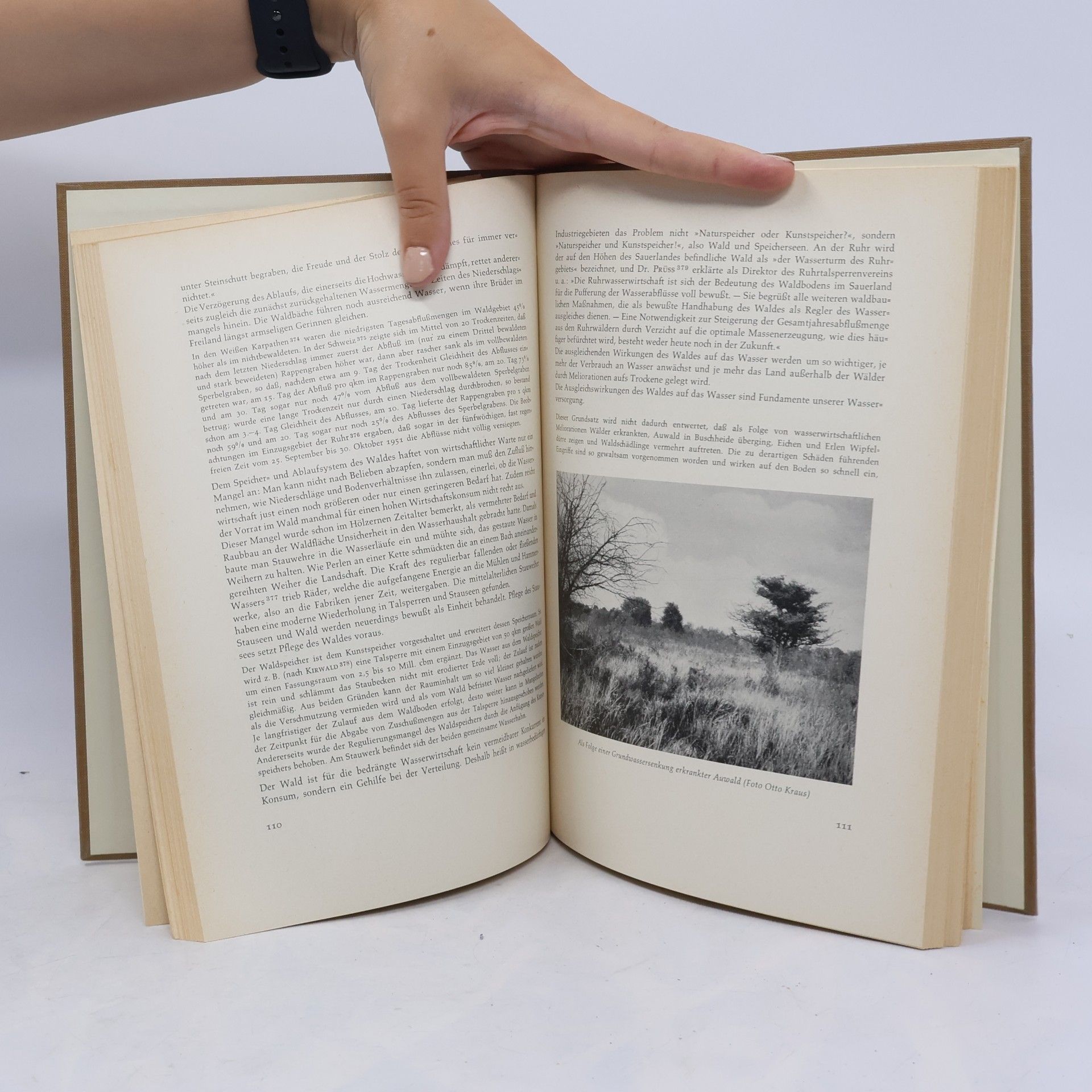 Erich Hornsmann Allen hilft der Wald