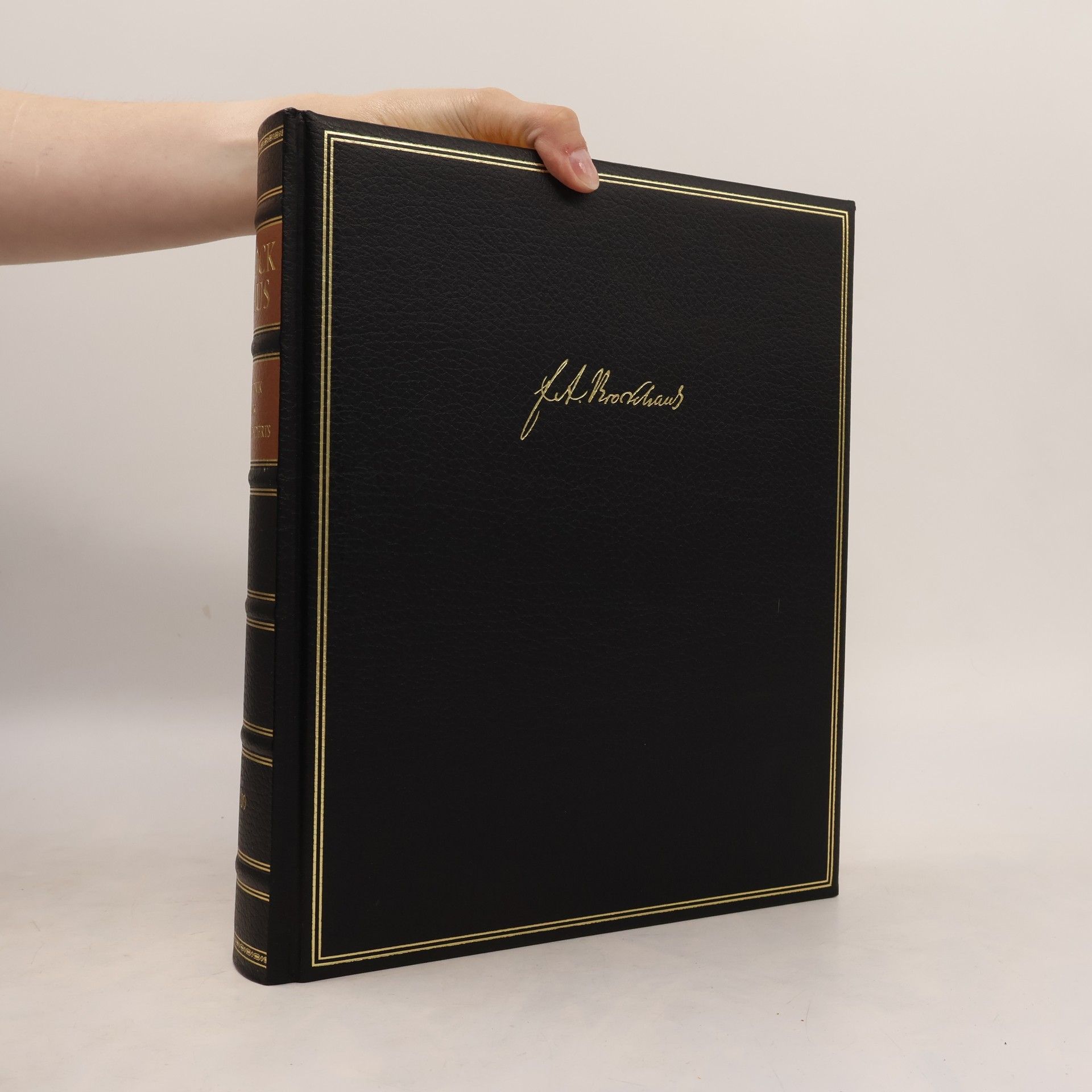 Autorenkollektiv Brockhaus. Chronik des 20. Jahrhunderts