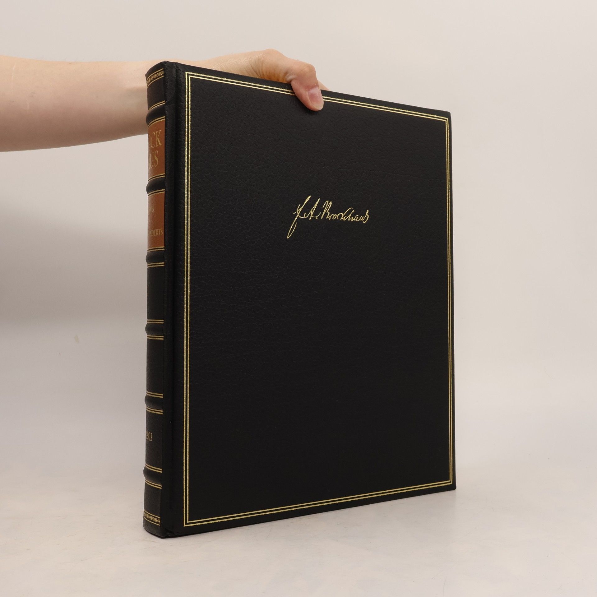 Brockhaus Chronik des 20. Jahrhunderts 1: 1900-1903
