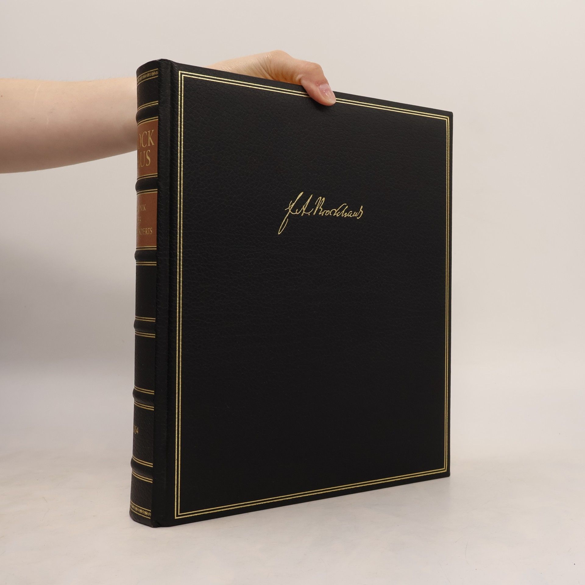 Autorenkollektiv Brockhaus. Chronik des Jahrhunderts 2004