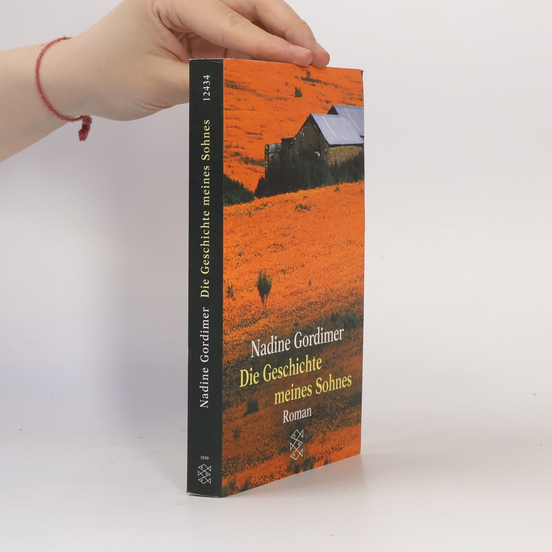 Nadine Gordimer Die Geschichte meines Sohnes