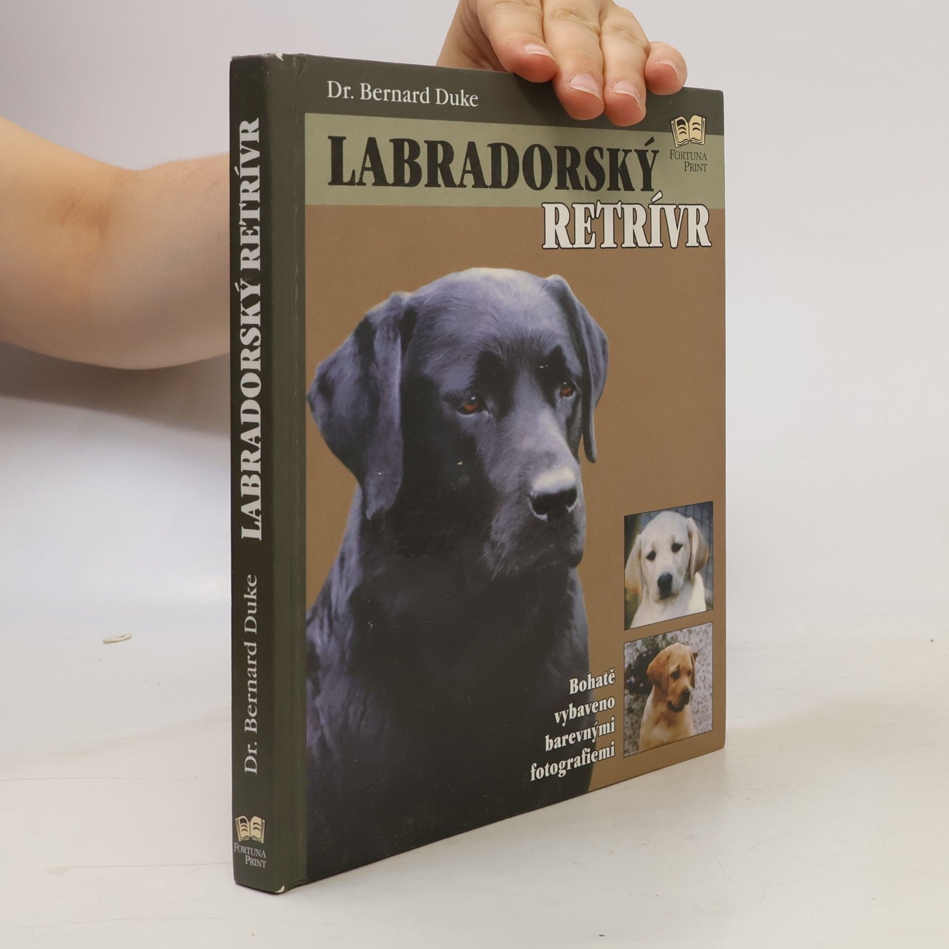 Bernard Duke Labradorský retrívr