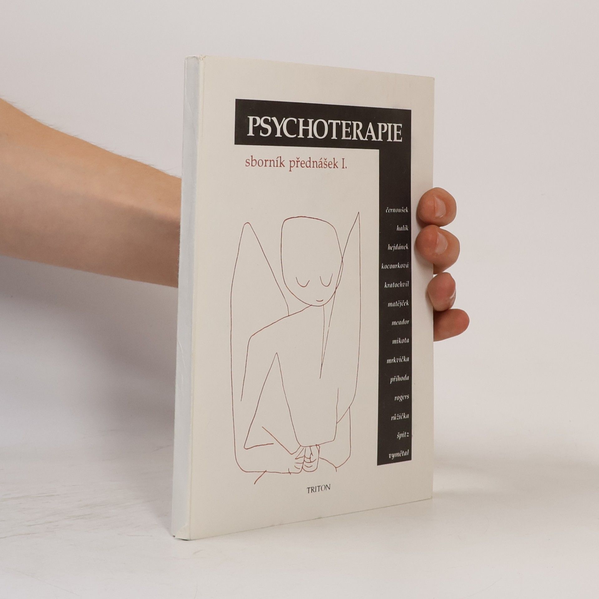 Jiří Růžička Psychoterapie: Sborník přednášek I.