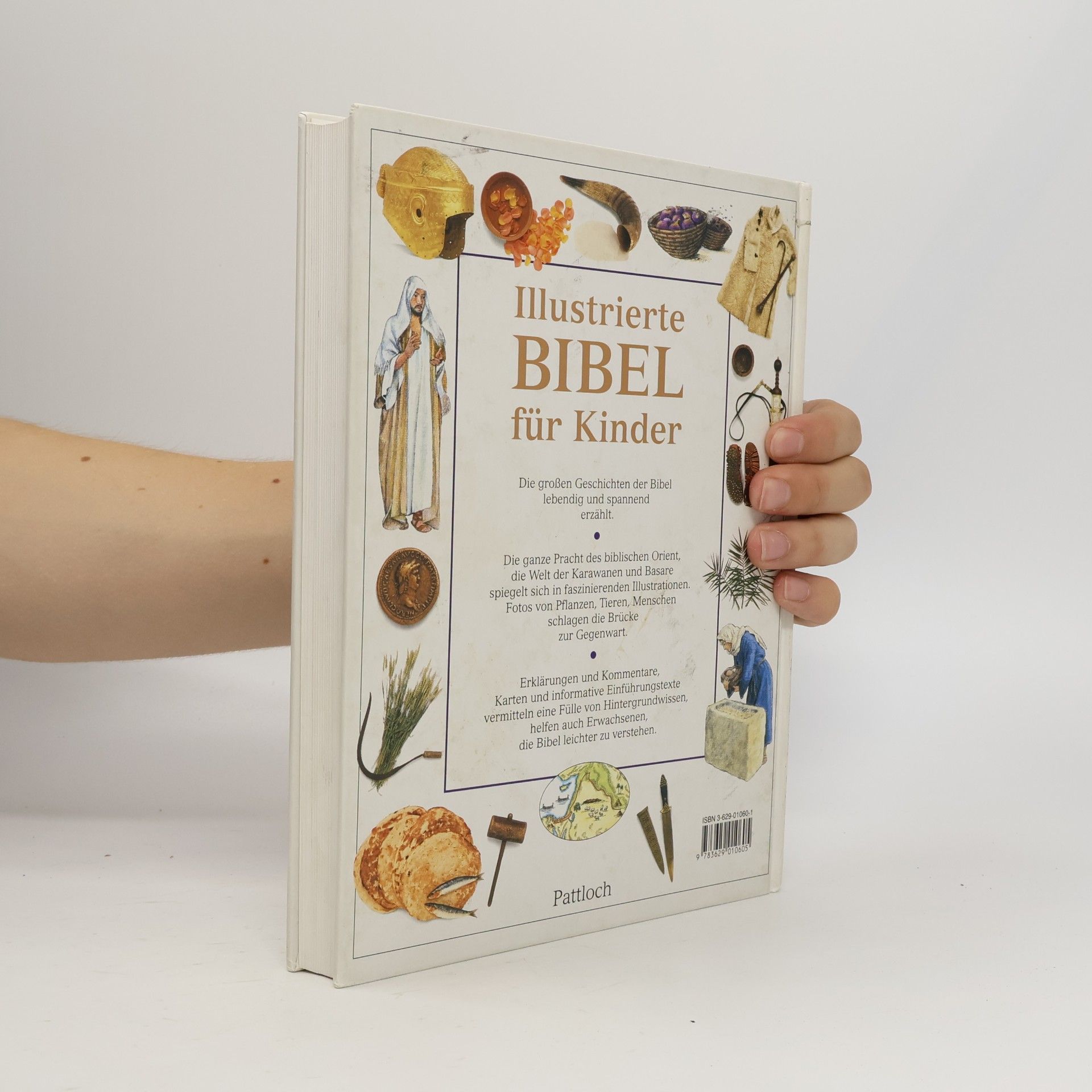 Various authors Illustrierte Bibel für Kinder