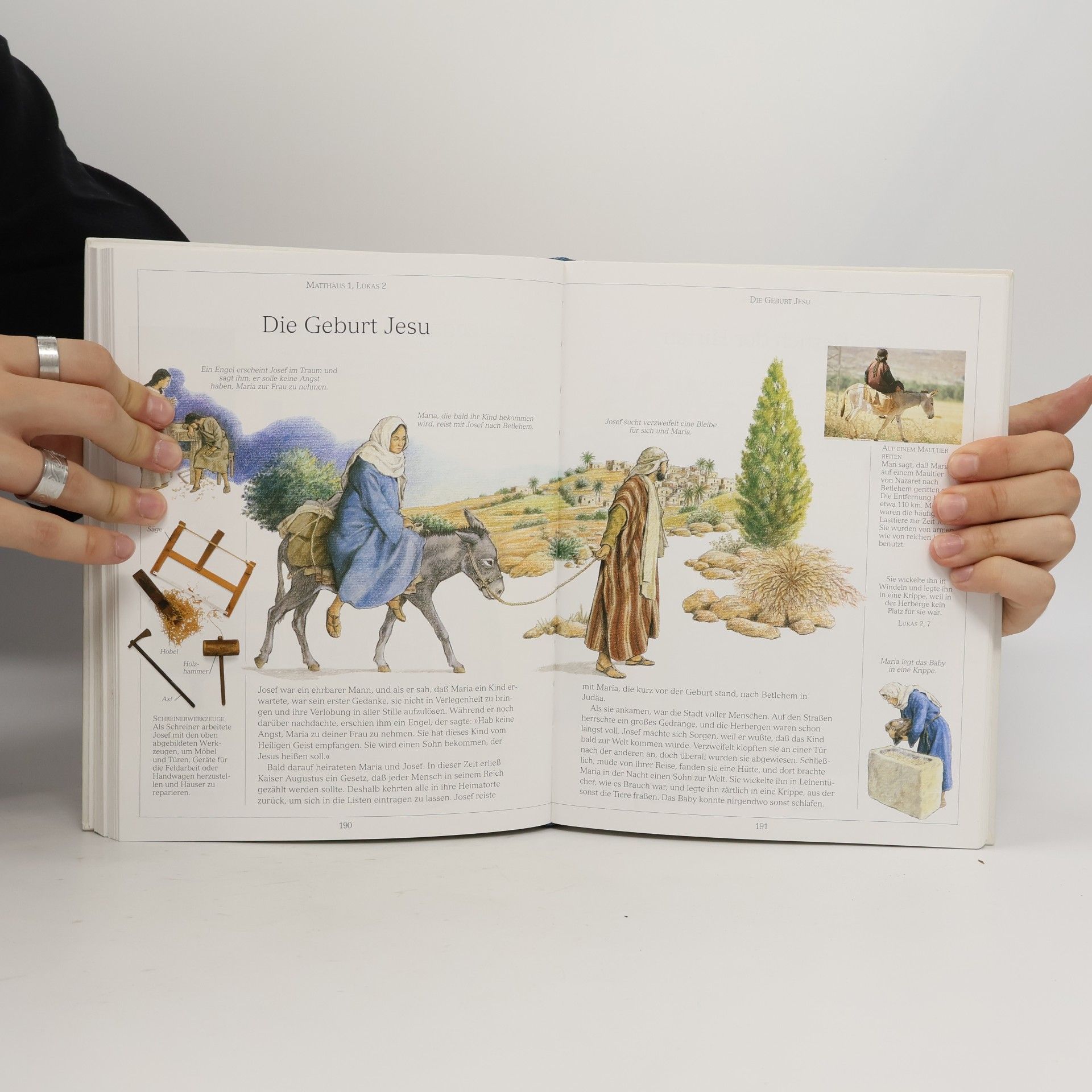 Various authors Illustrierte Bibel für Kinder