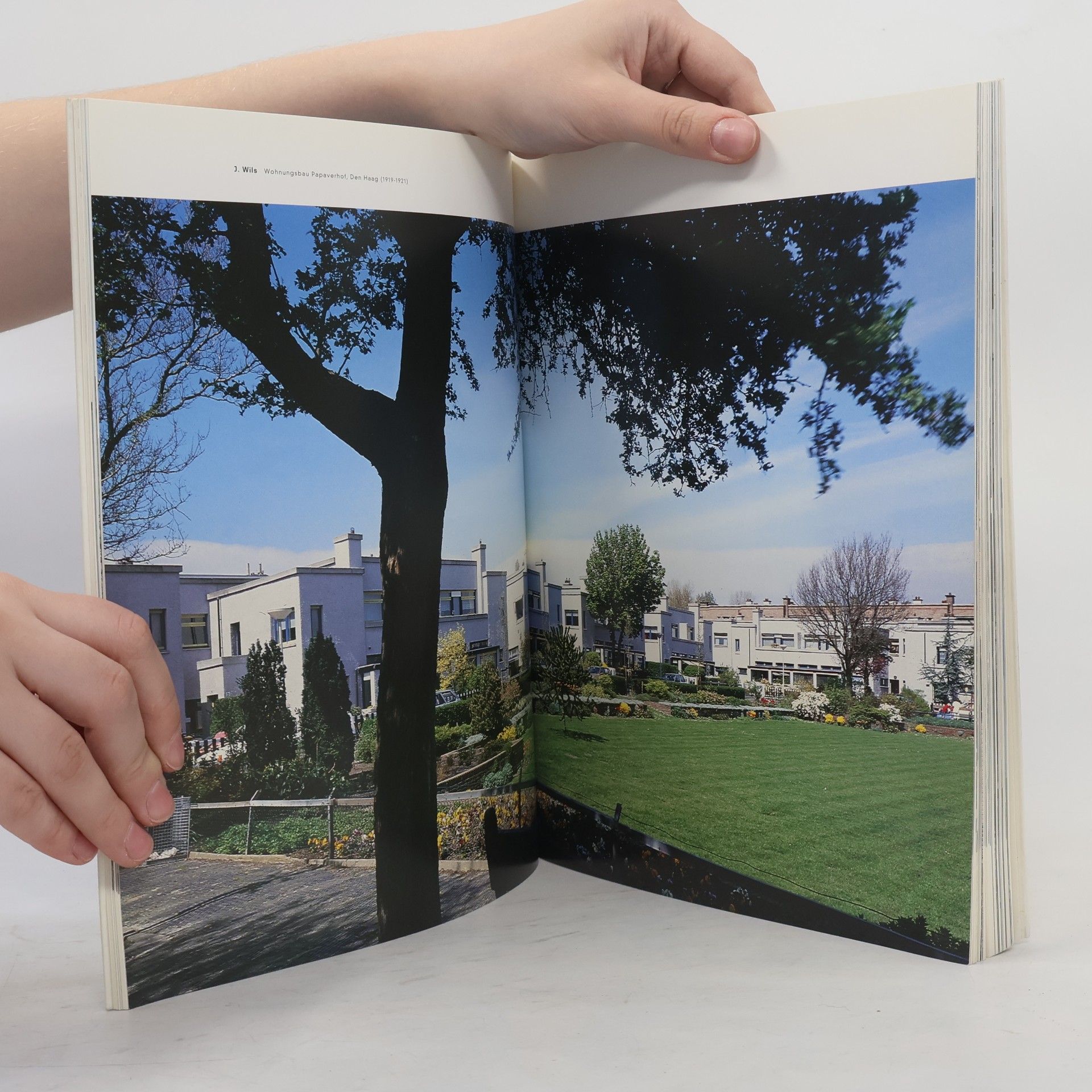 Hans Ibelings Niederländische Architektur des 20. Jahrhunderts