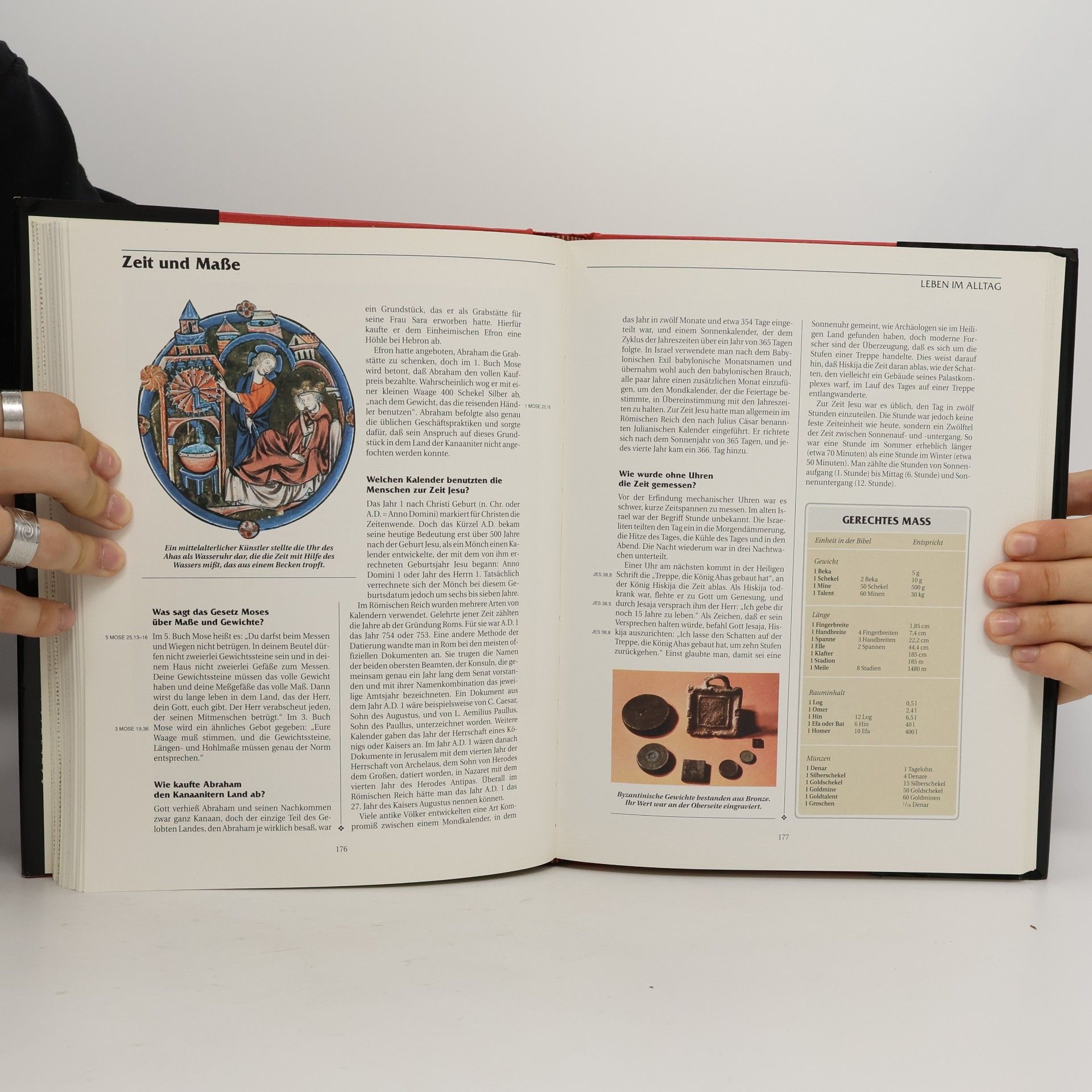 David Noel Freedman 1000 Fragen an die Heilige Schrift