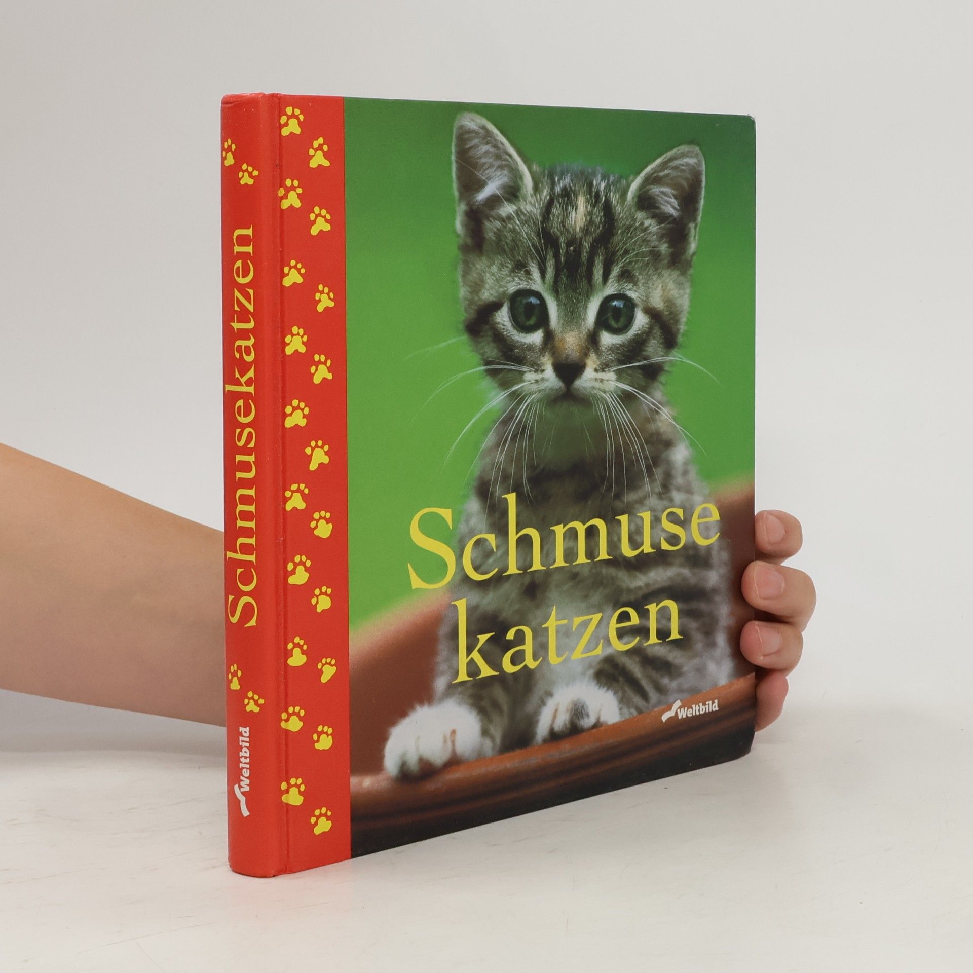 Monika Auberger Schmuse katzen
