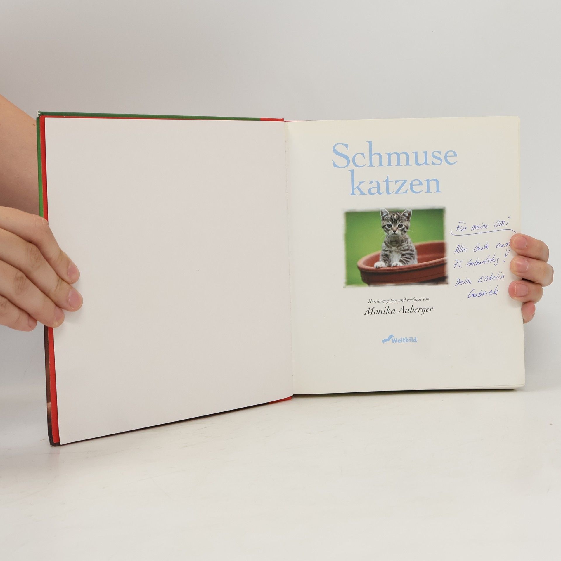 Monika Auberger Schmuse katzen