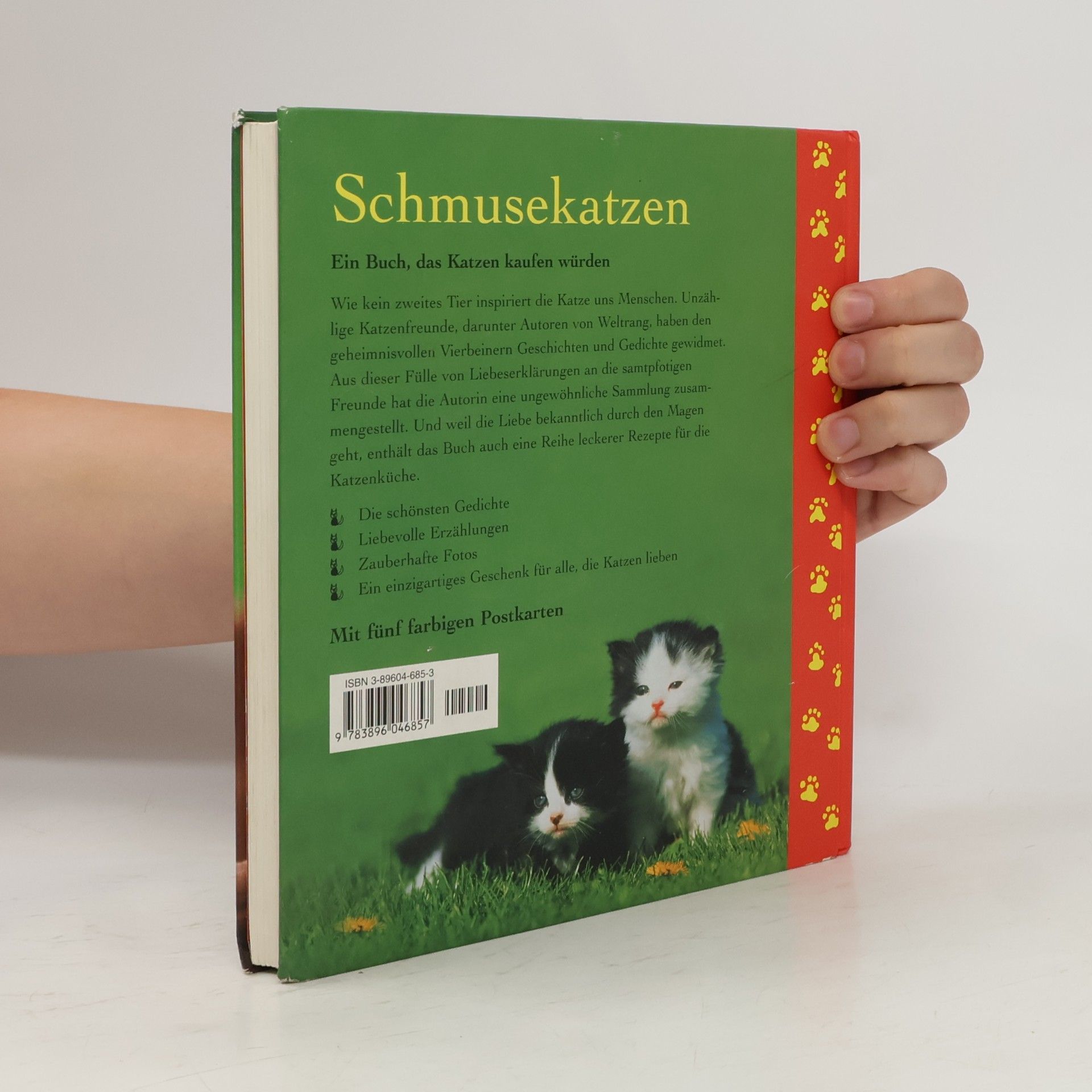 Monika Auberger Schmuse katzen