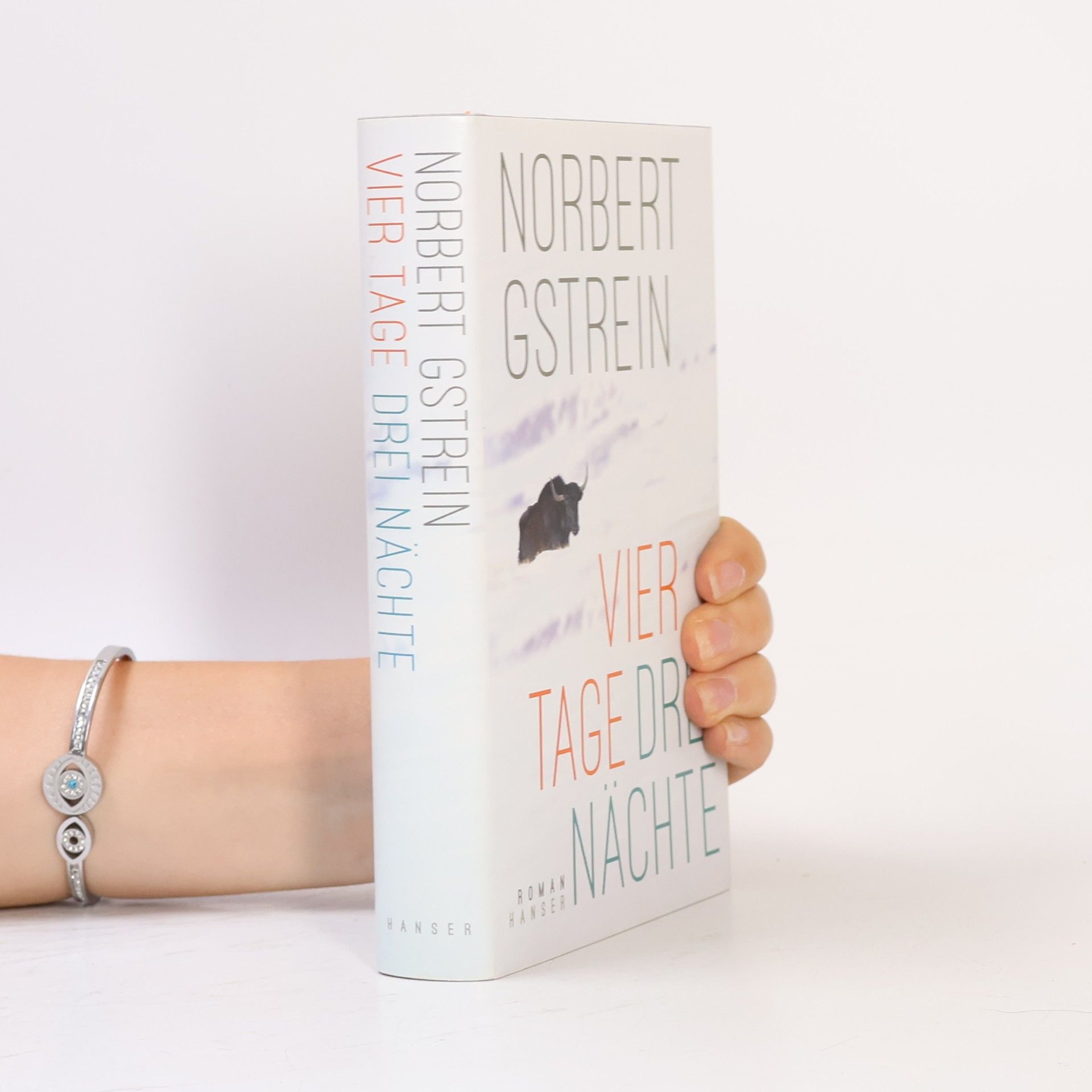 Norbert Gstrein Vier Tage, drei Nächte