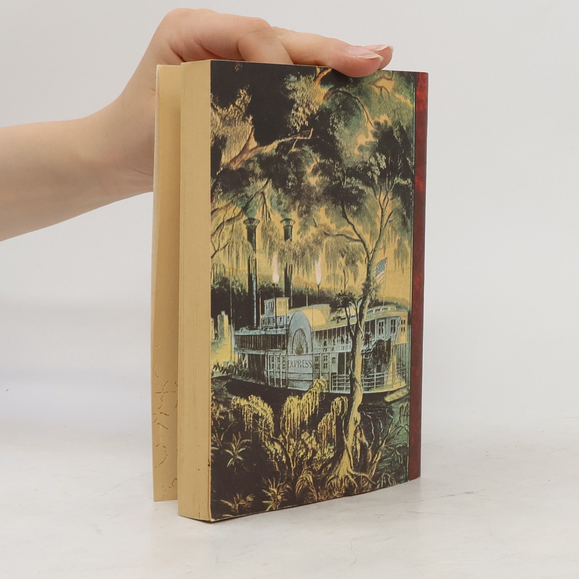 Mark Twain Die Abenteur von Tom Sawyer