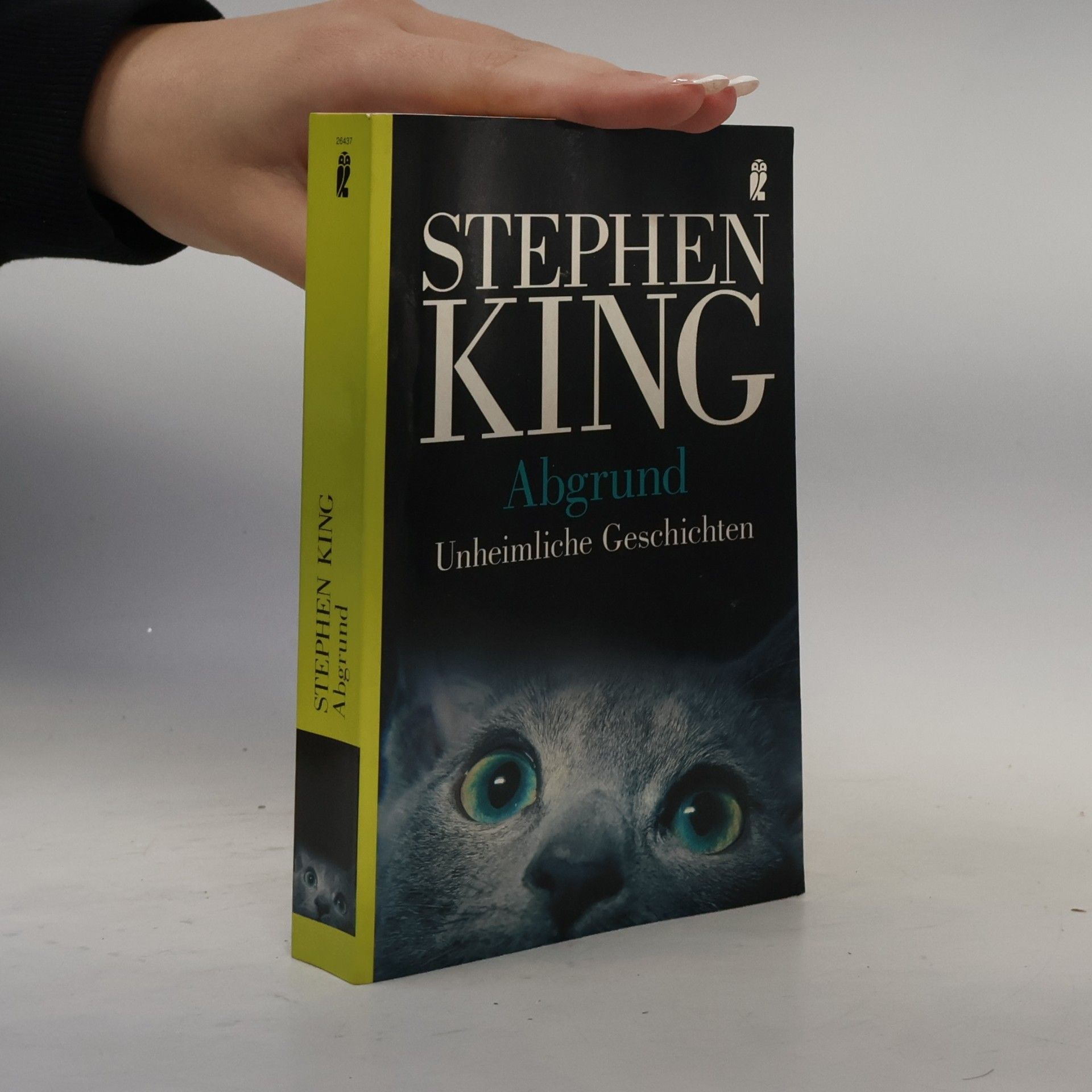 Stephen King Abgrund