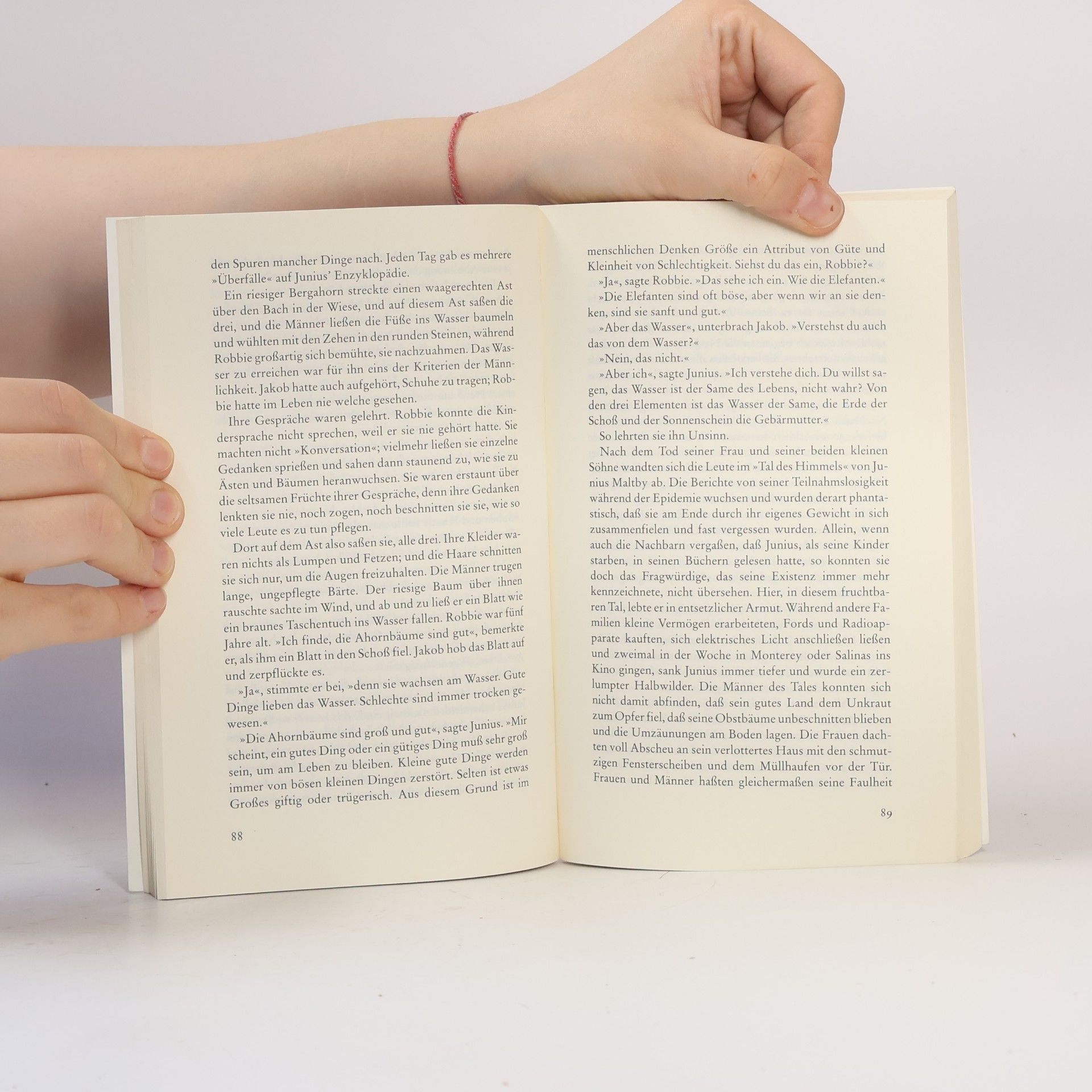 John Steinbeck Das Tal des Himmels
