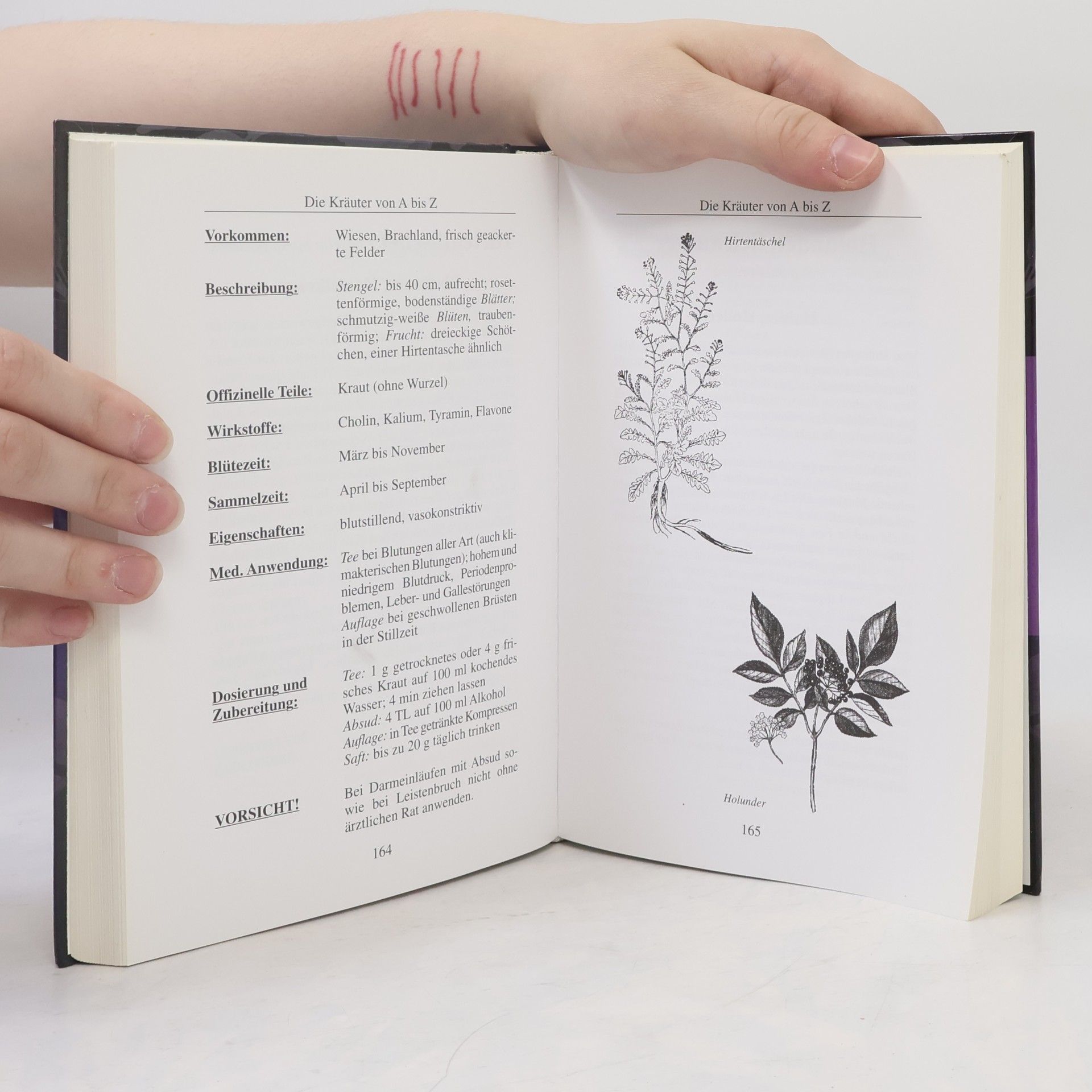 Anthea Das große Buch der Hexenkräuter