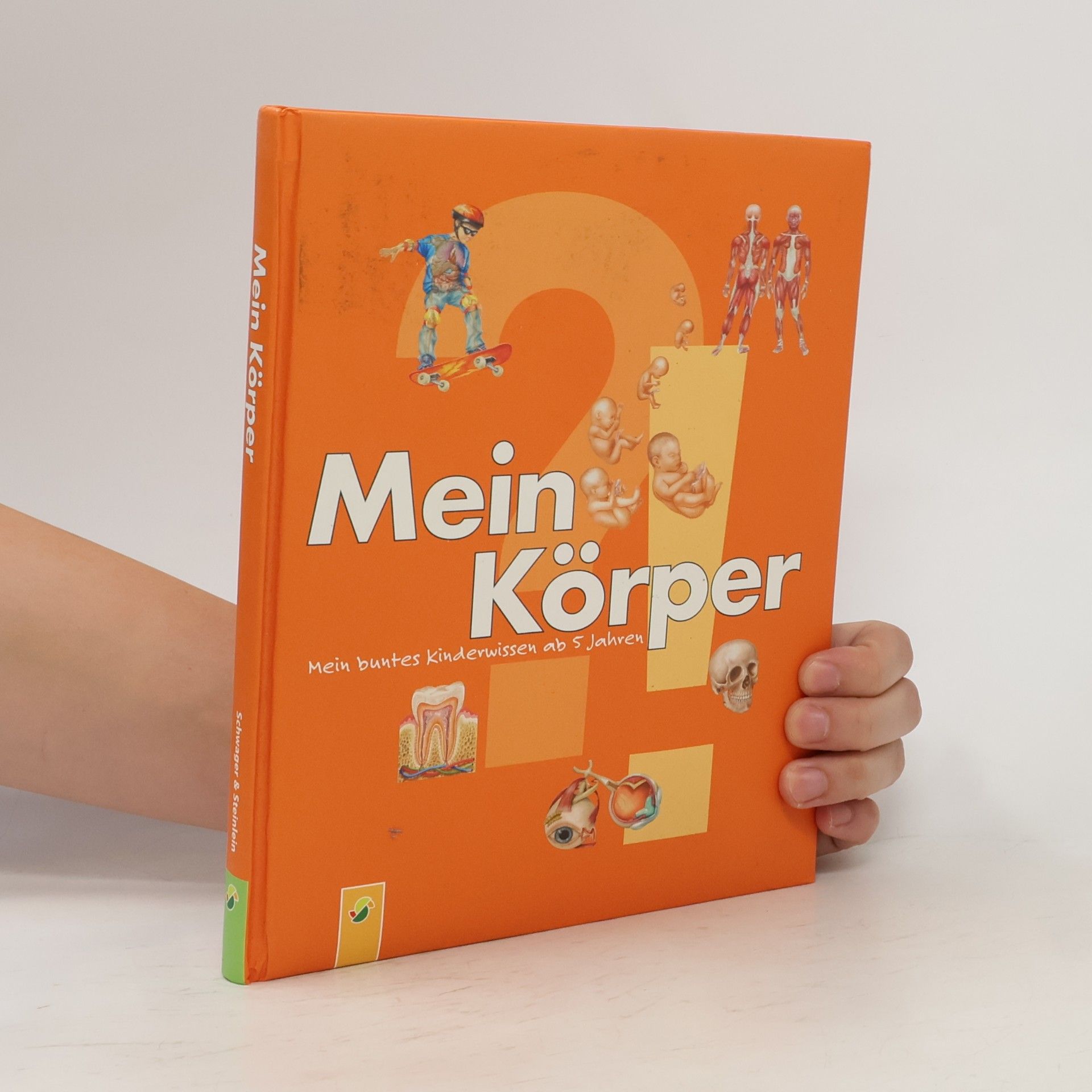 Ute Friesen Mein Körper