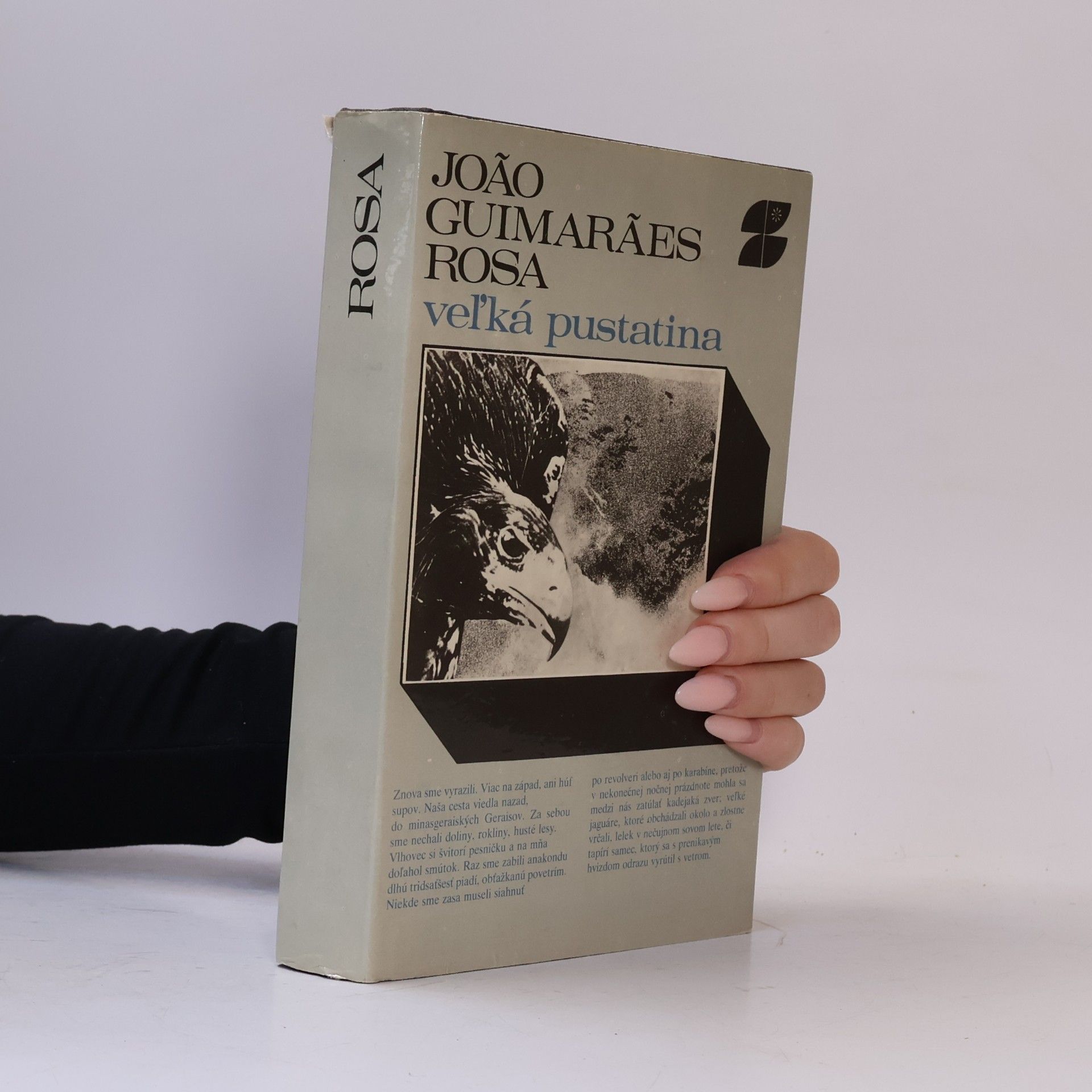João Guimarães Rosa Vel'ká pustatina