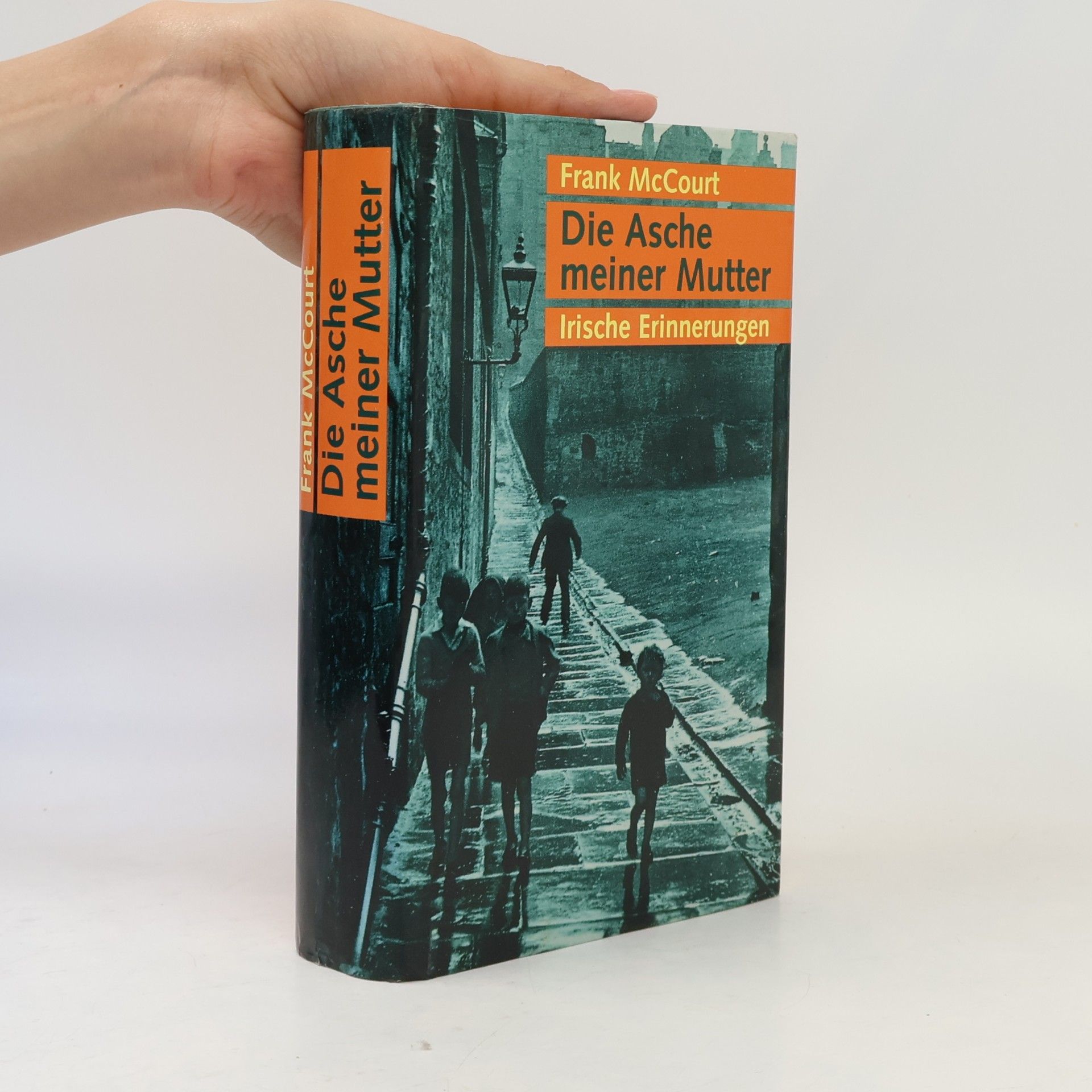 Frank McCourt Die Asche meiner Mutter