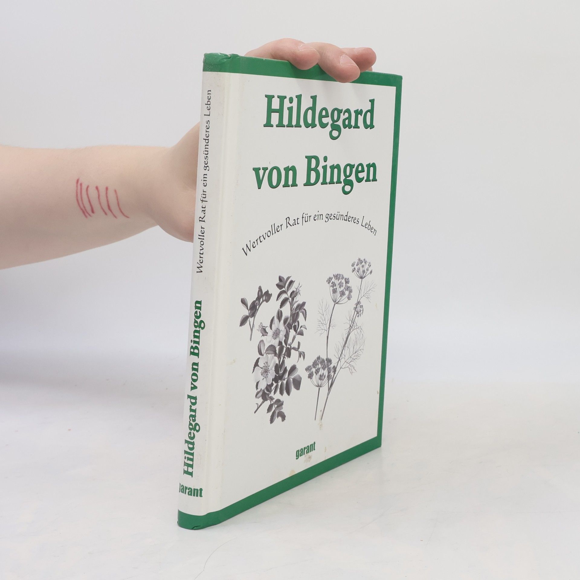 Hildegard of Bingen Hildegard von Bingen